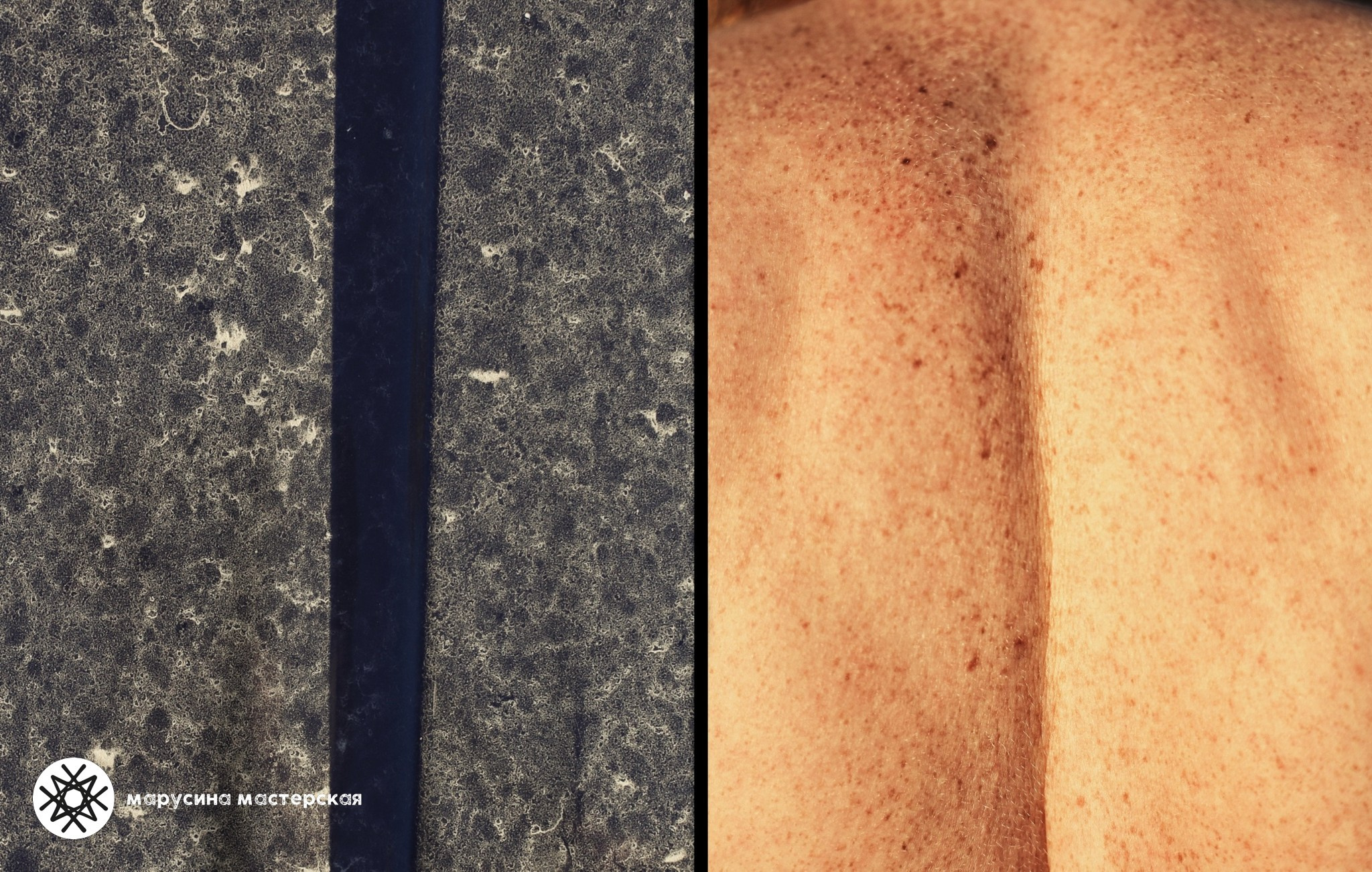 Анна Петушкова