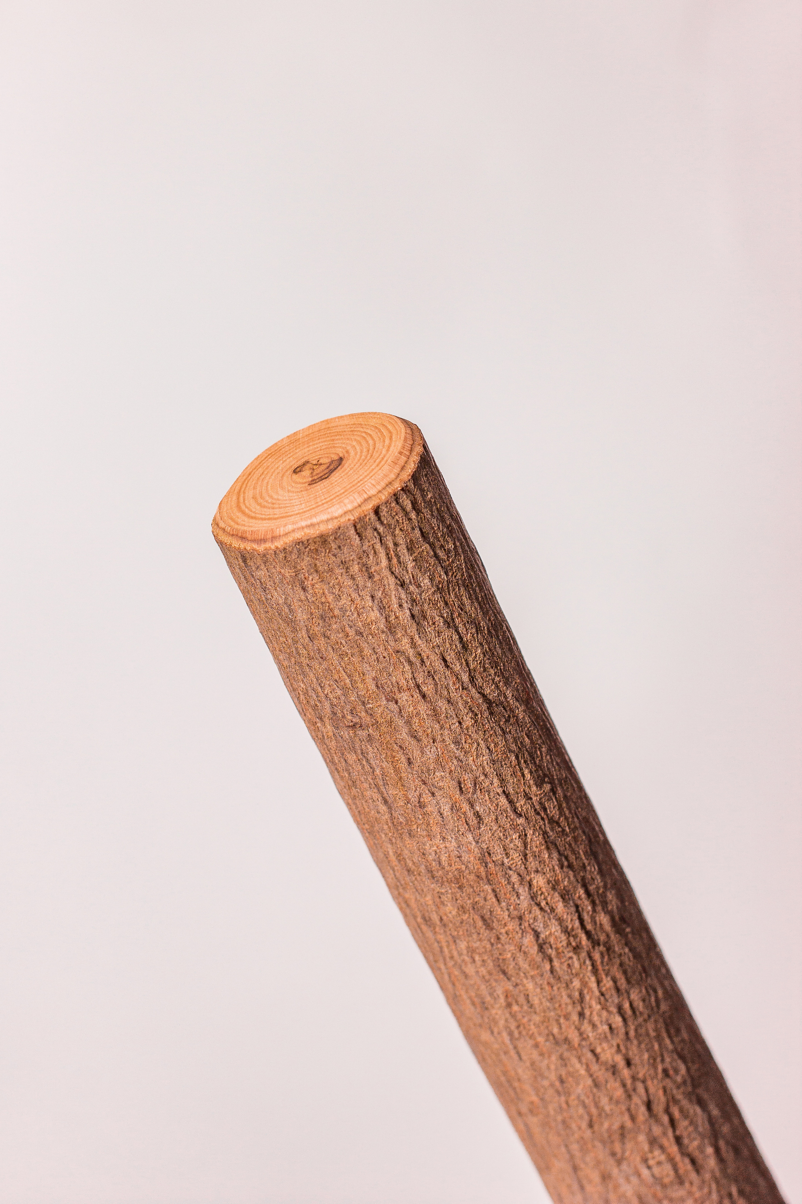 Фотосъемка для маркетплейсов Иваново. Фотокниги и выпускные альбомы в Иваново