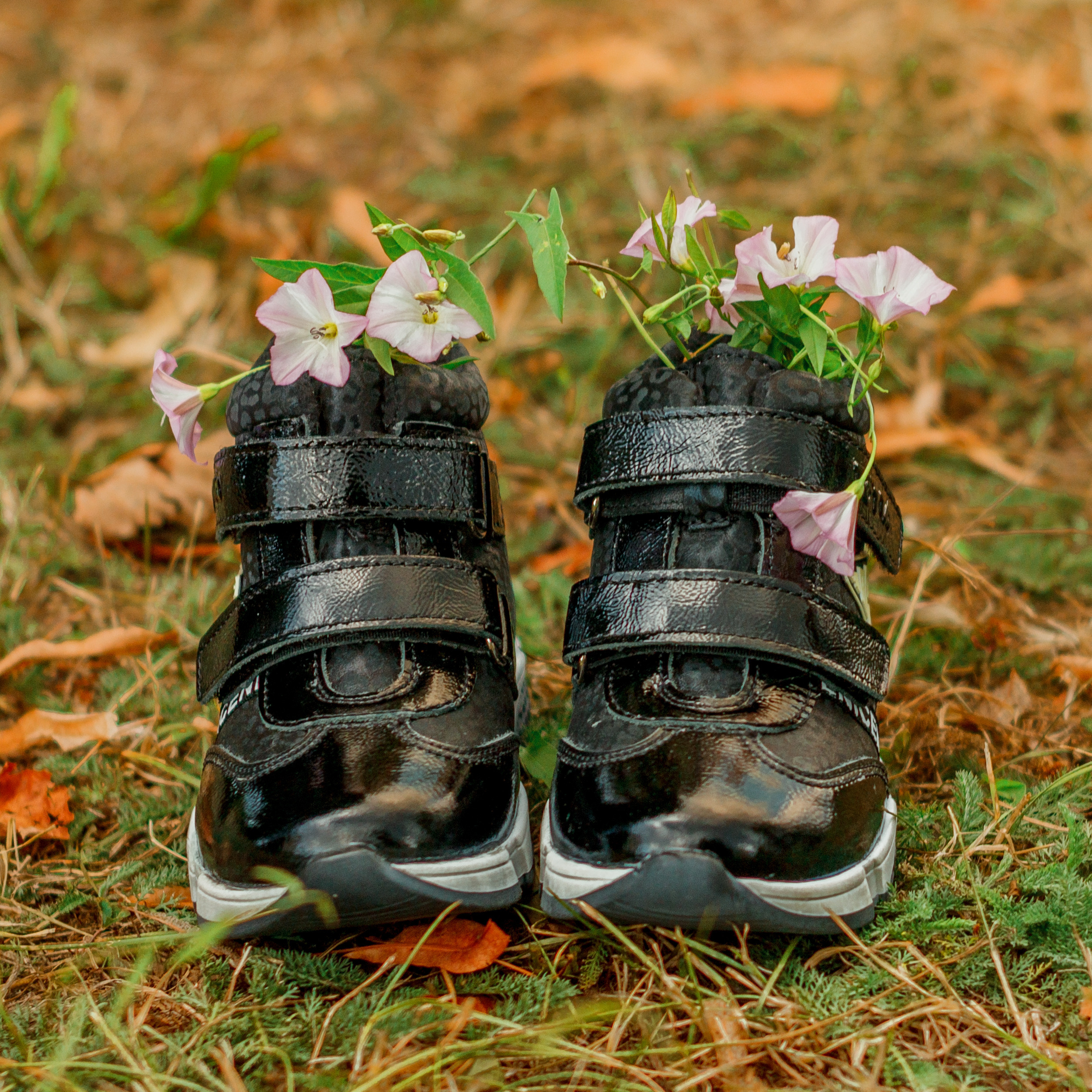 Фотосъемка для маркетплейсов Иваново. Фотокниги и выпускные альбомы в Иваново