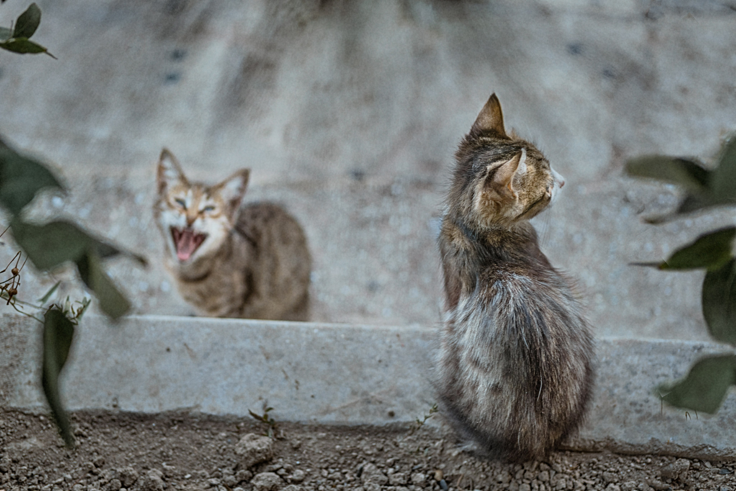 Места. Максим Завгаров
