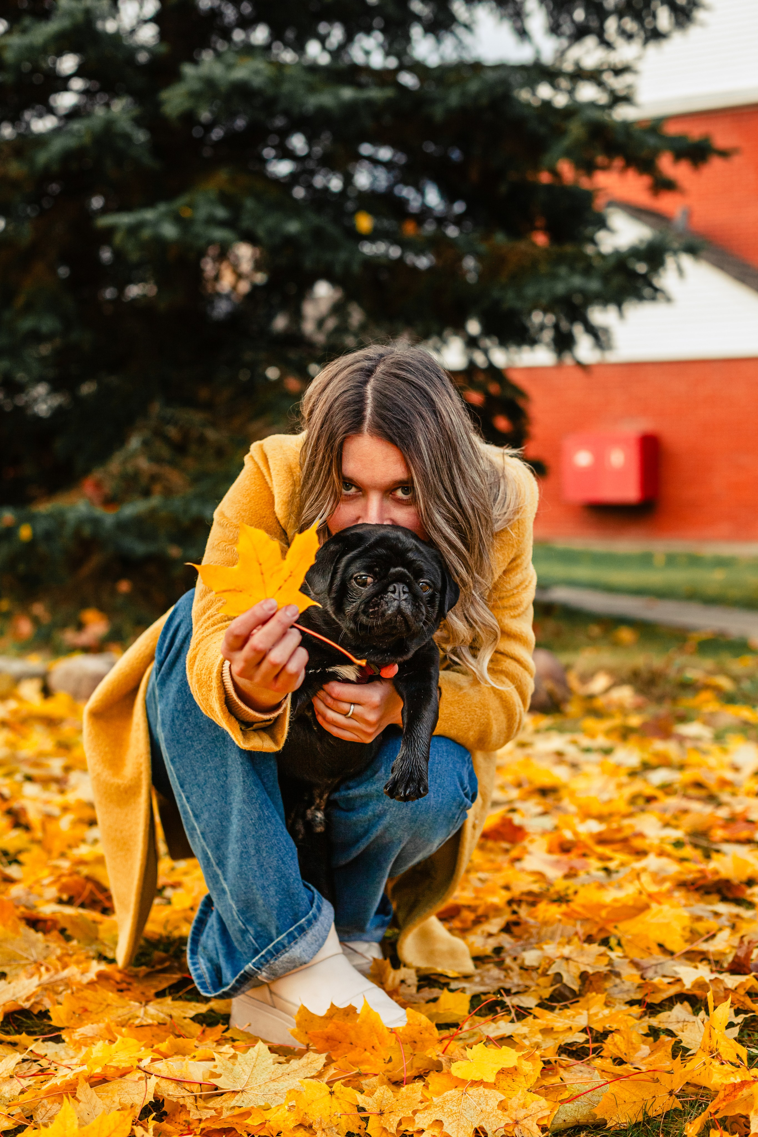 Оля, Харви, Луис. Фотограф-анималист Татьяна Степанова