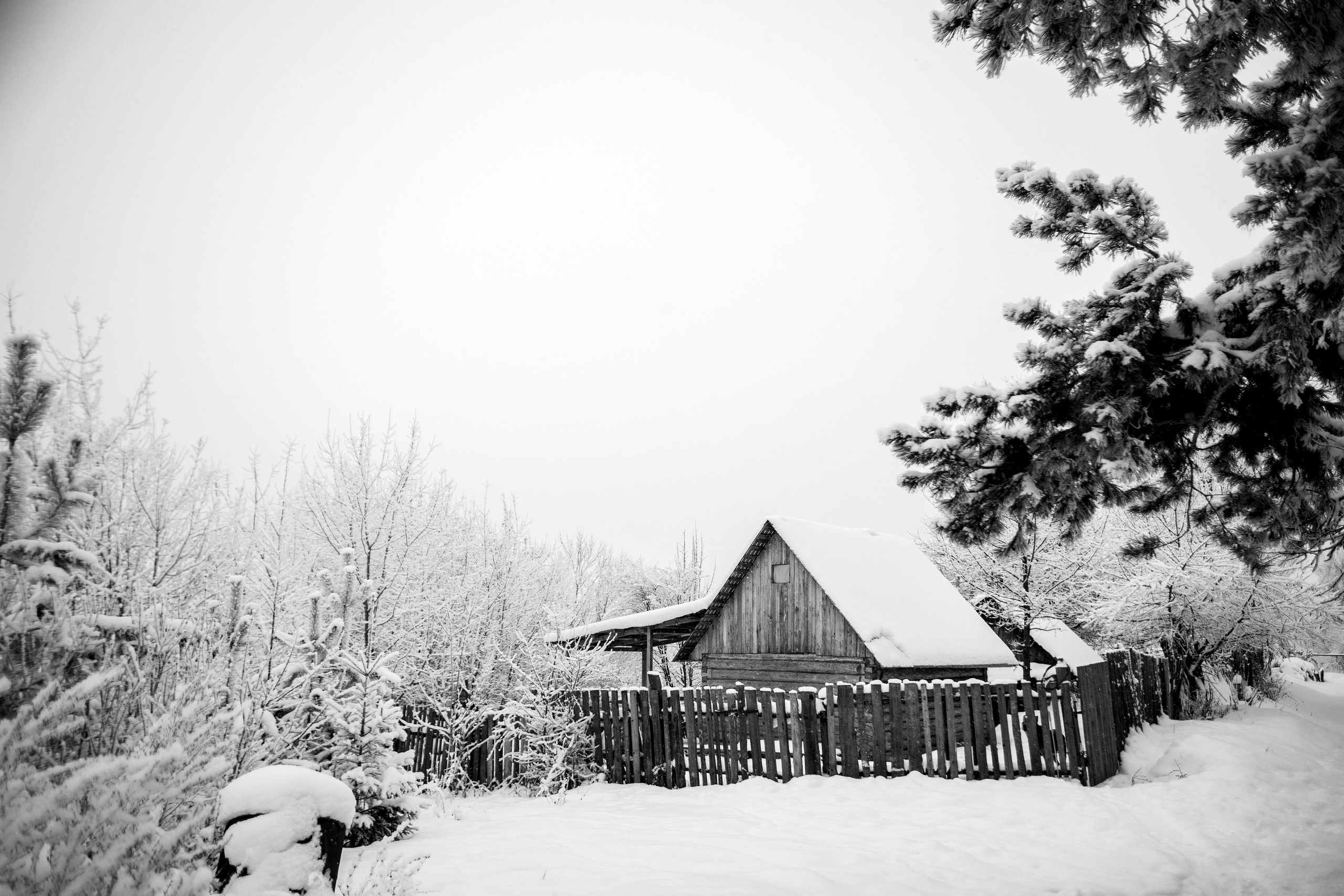 ЧЕРНО-БЕЛЫЕ ФОТОГРАФИИ. Никита Аничкин фото и видео оператор из России