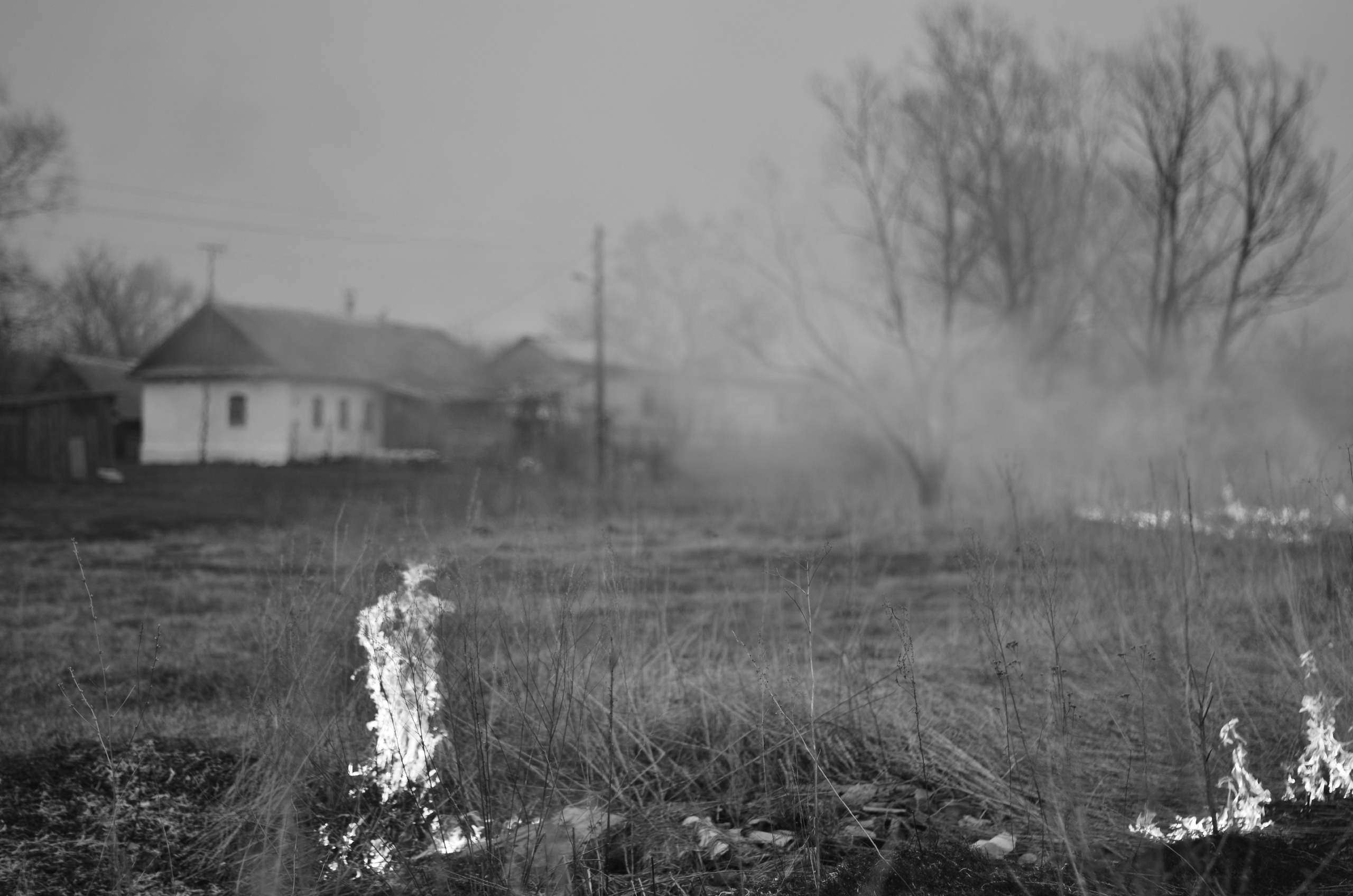 Пожары. Анна Хвалина