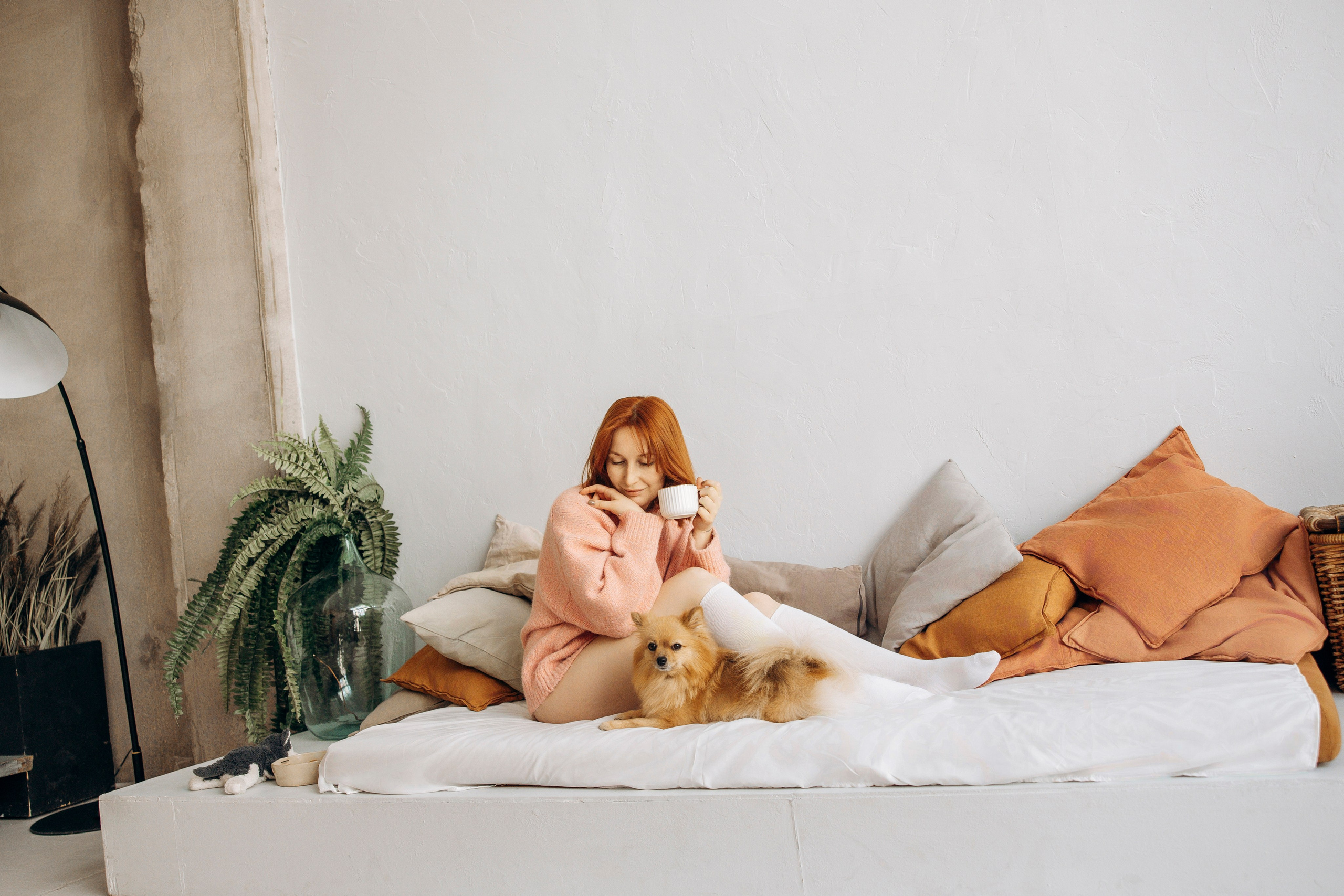 Съемка в студии с собакой. Анастасия Белаш