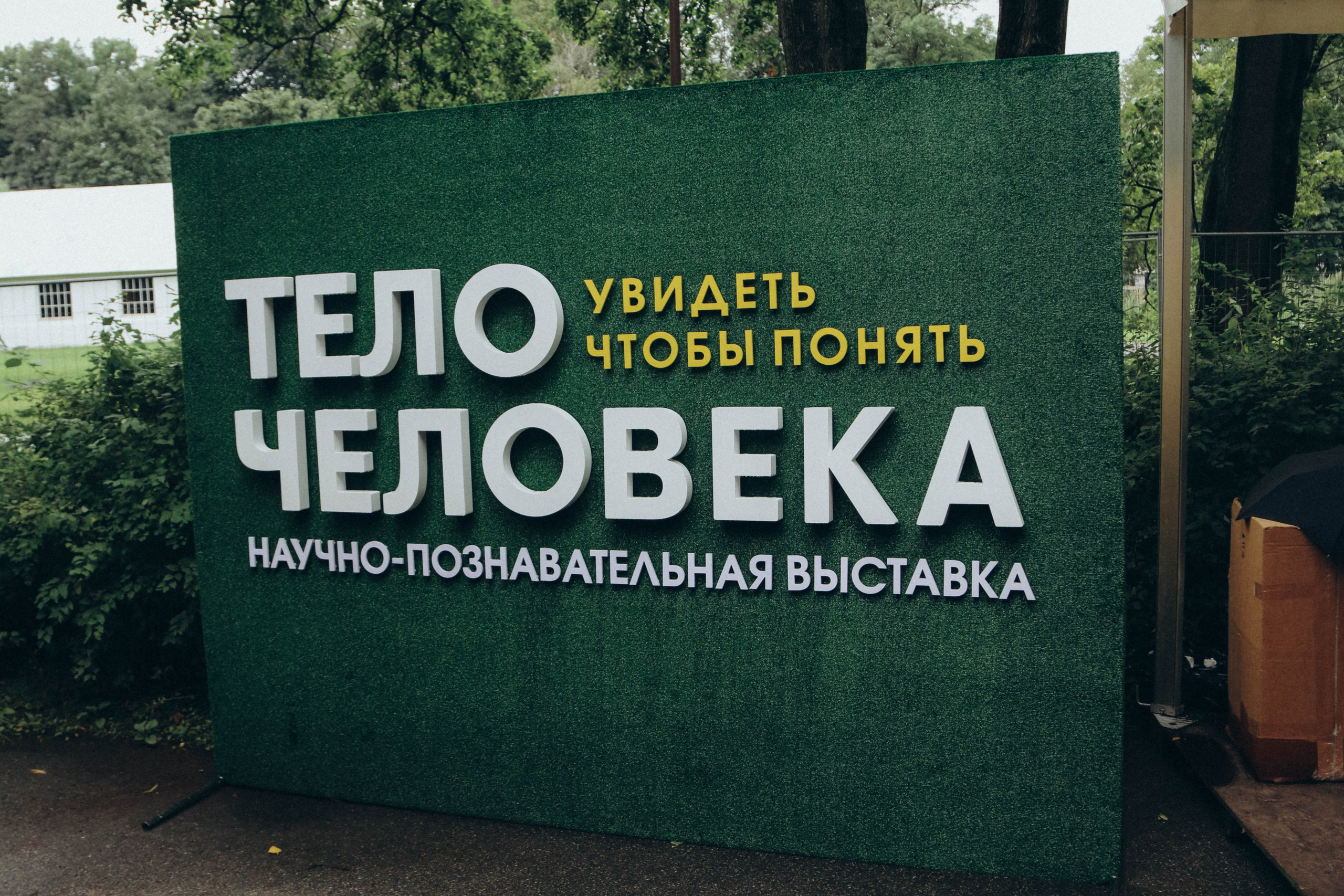 Фестиваль LifePicnik на Елагином острове. Репортажный фотограф во Всеволожске и Санкт-Петербурге Владимир Капустин