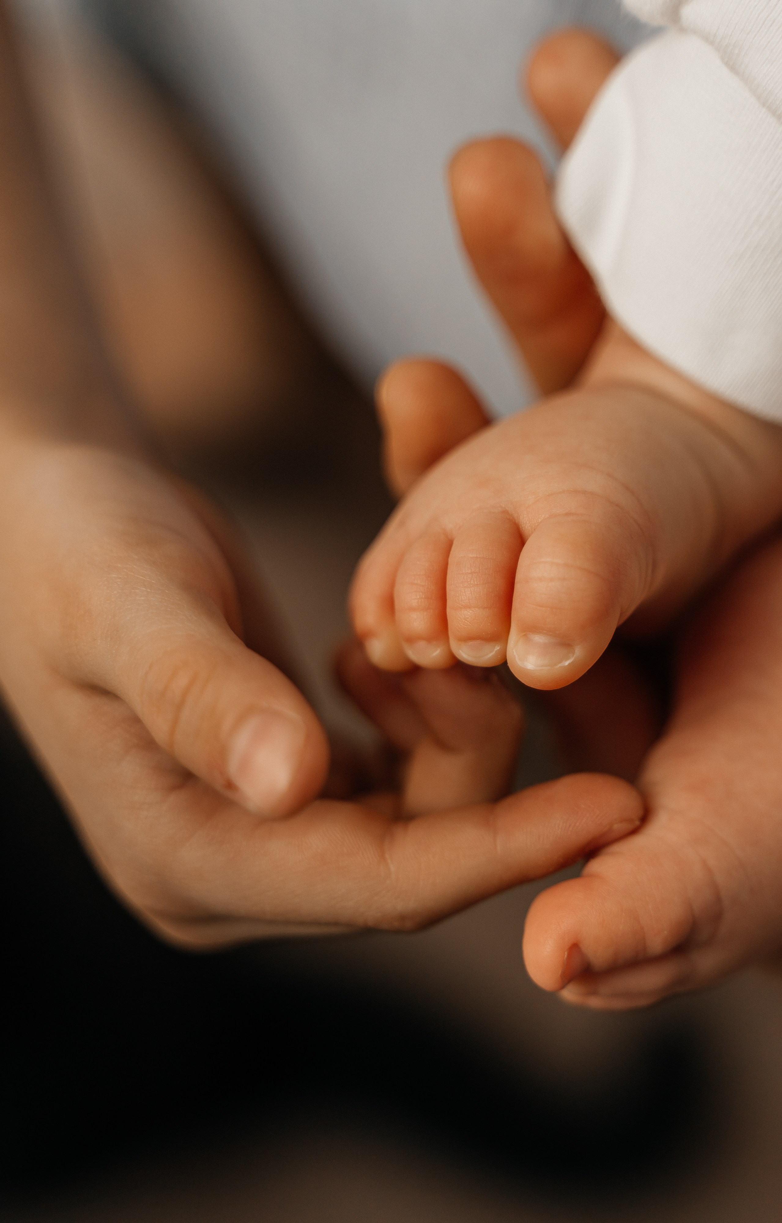 Ваня, Лара, Миша и Стёпа. Волик Мария