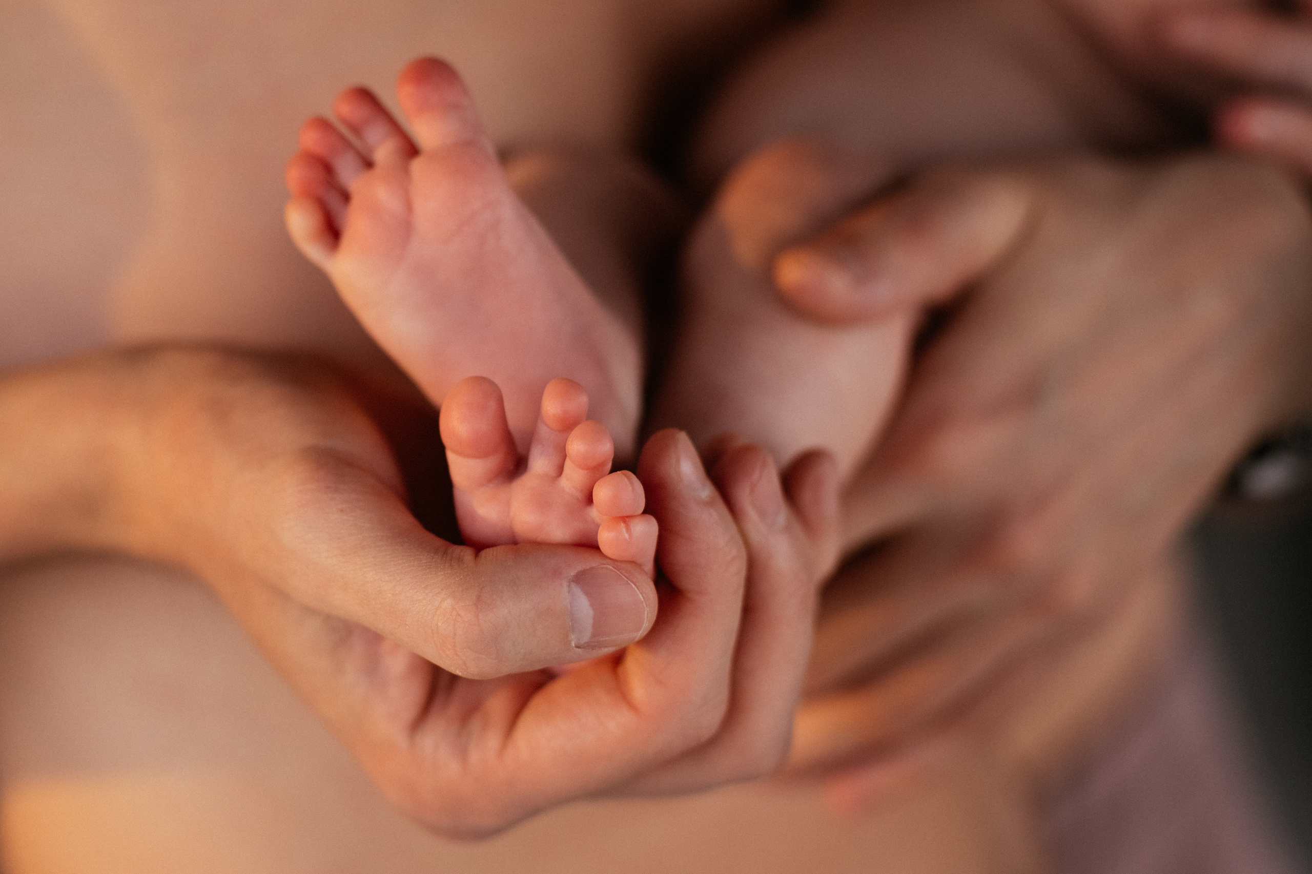 Семейная фотосессия с малышом. Свадебный и семейный фотограф Ксения Шекк Екатеринбург