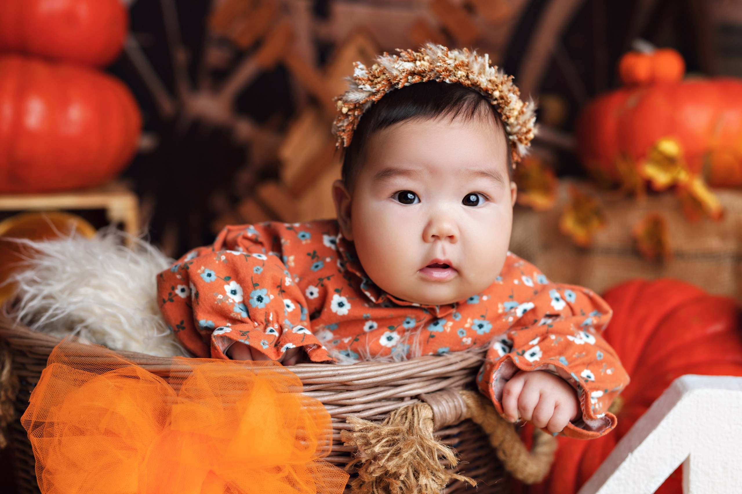 Тыквы. Фотограф Болотова Иветта