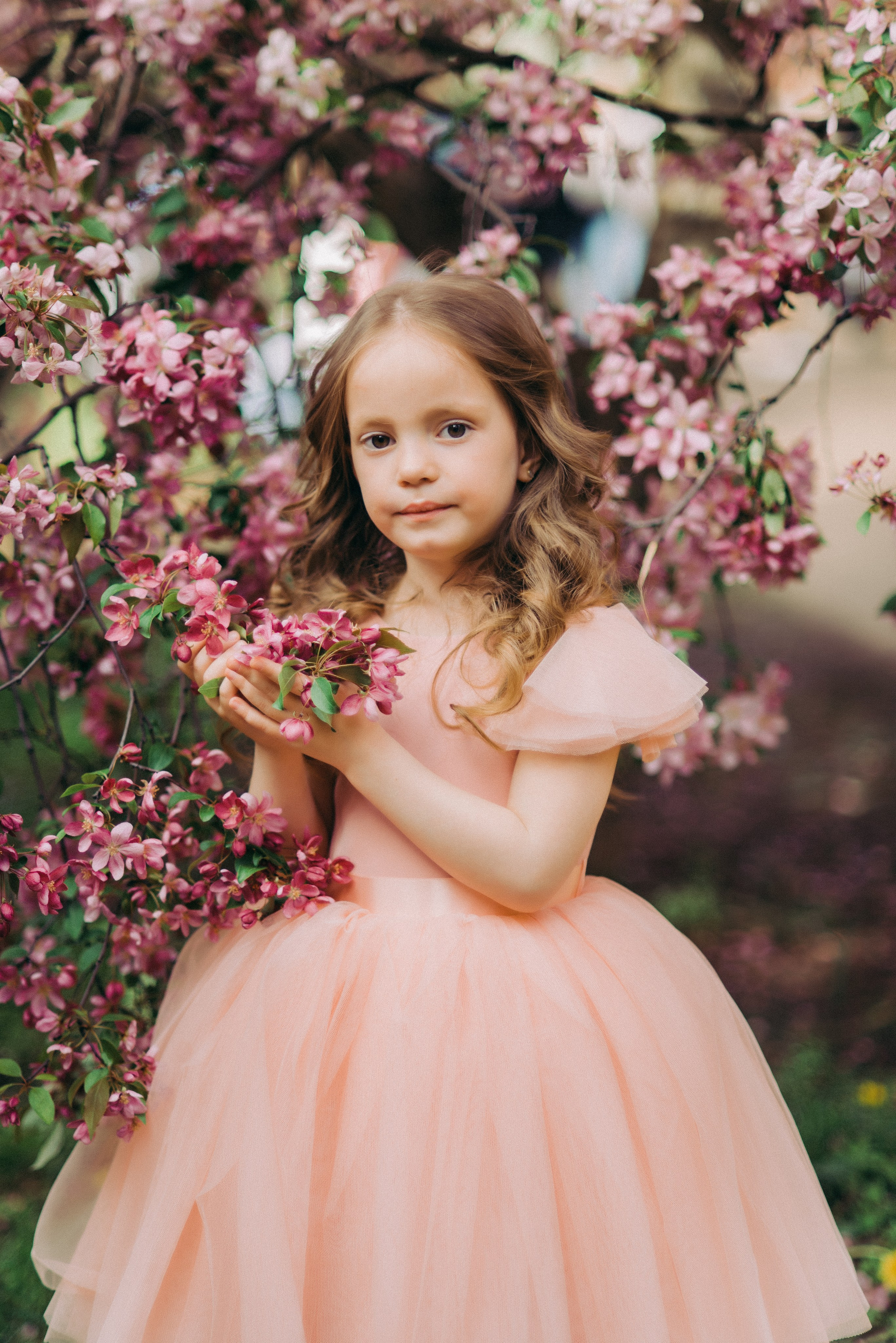 Цветение. Фотограф Юлия Попова