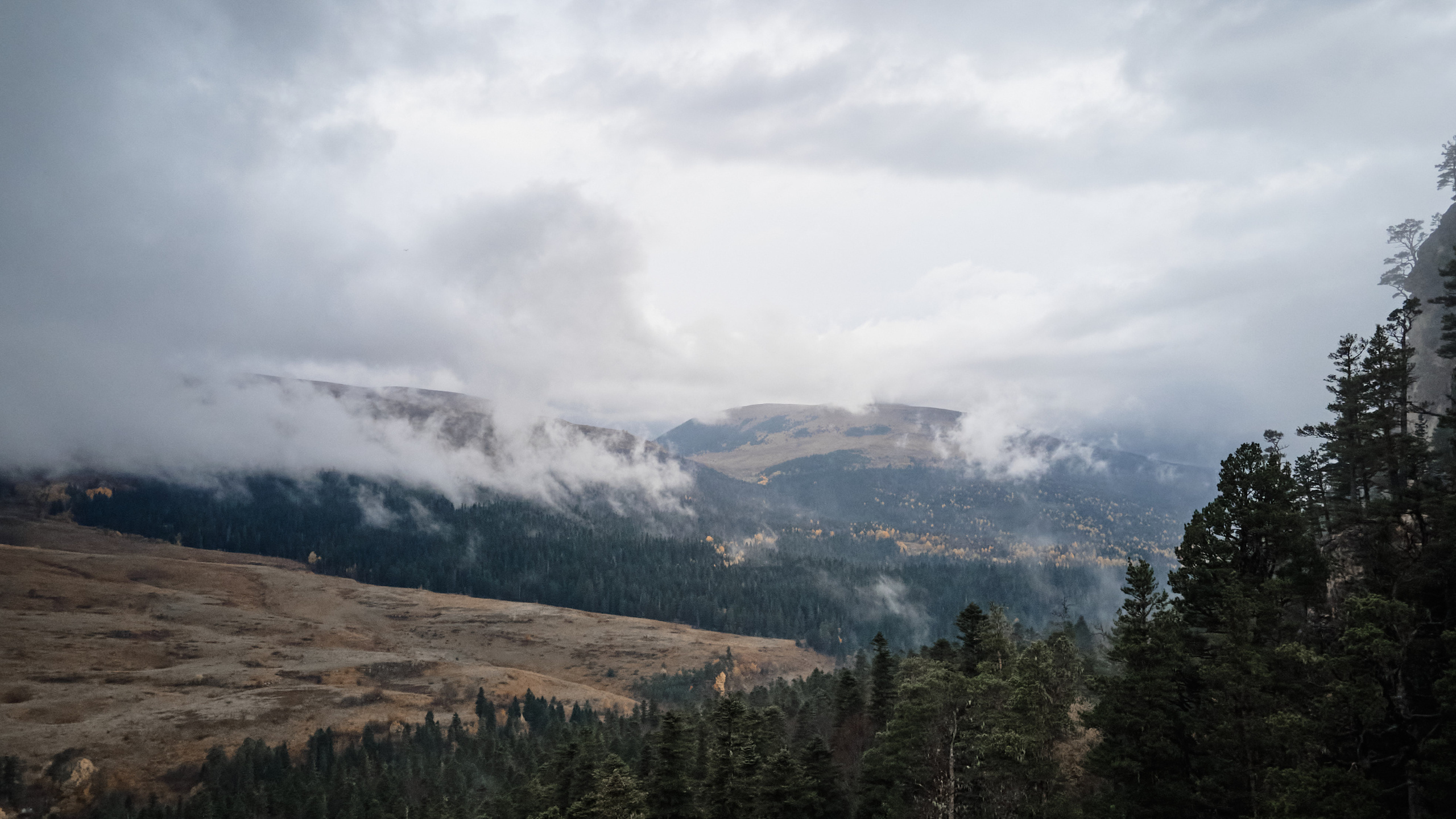 Свадьба Артема и Наташи. Свадебный фотограф г. Новочеркасск г. Ростов-на-Дону