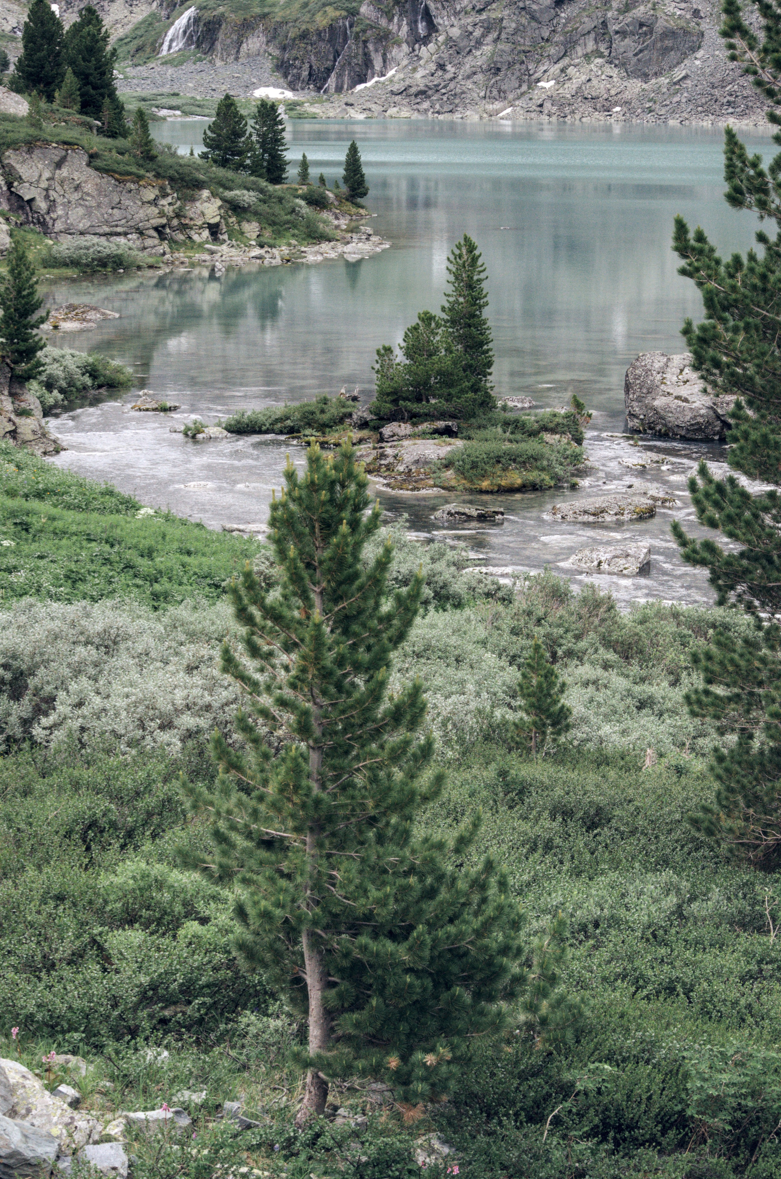 Алтай. Фотограф анималист, пейзажист, спортивные мероприятия. Новосибирск