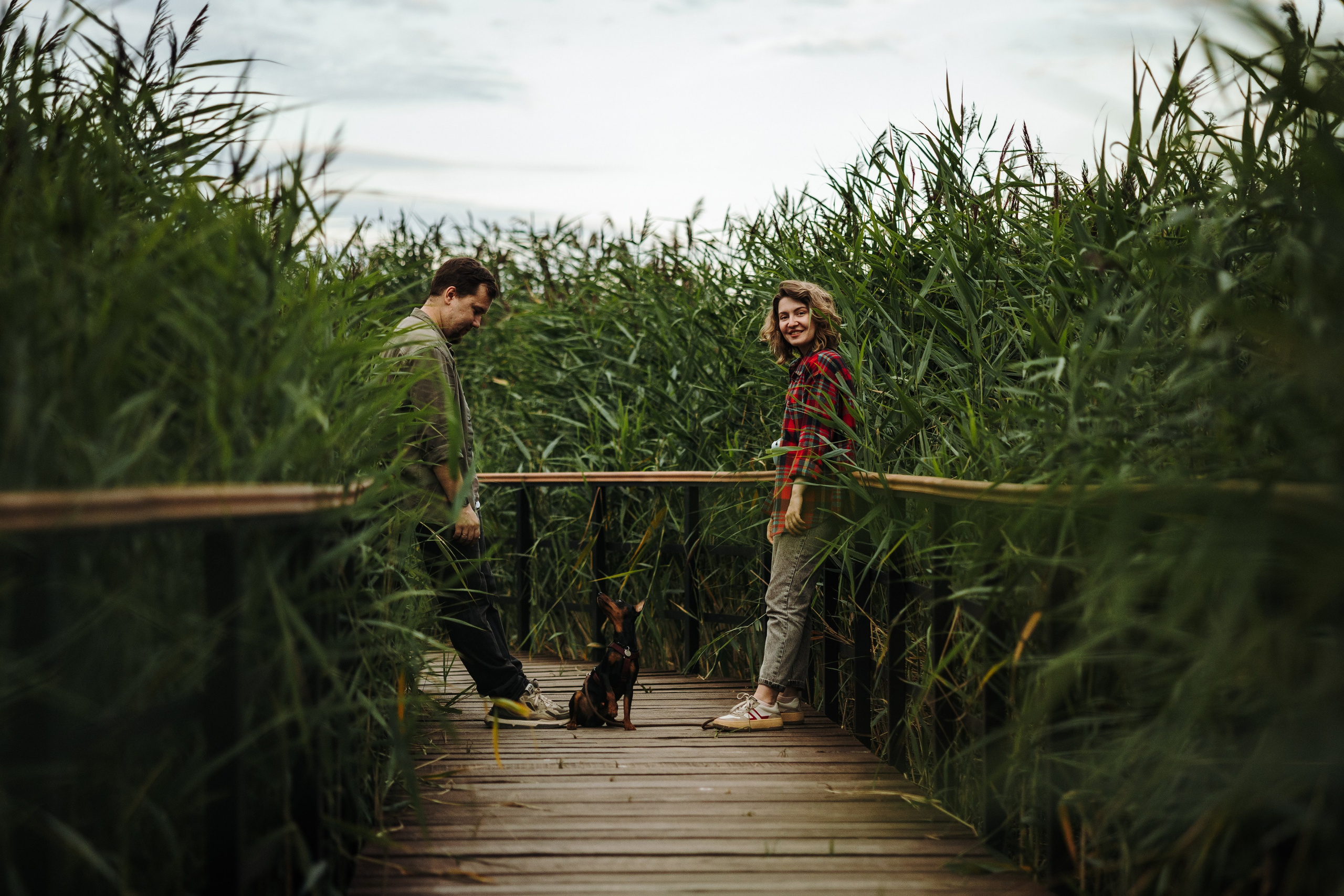 Сириус и его семья. Фотограф — Анималист | Санкт-Петербург