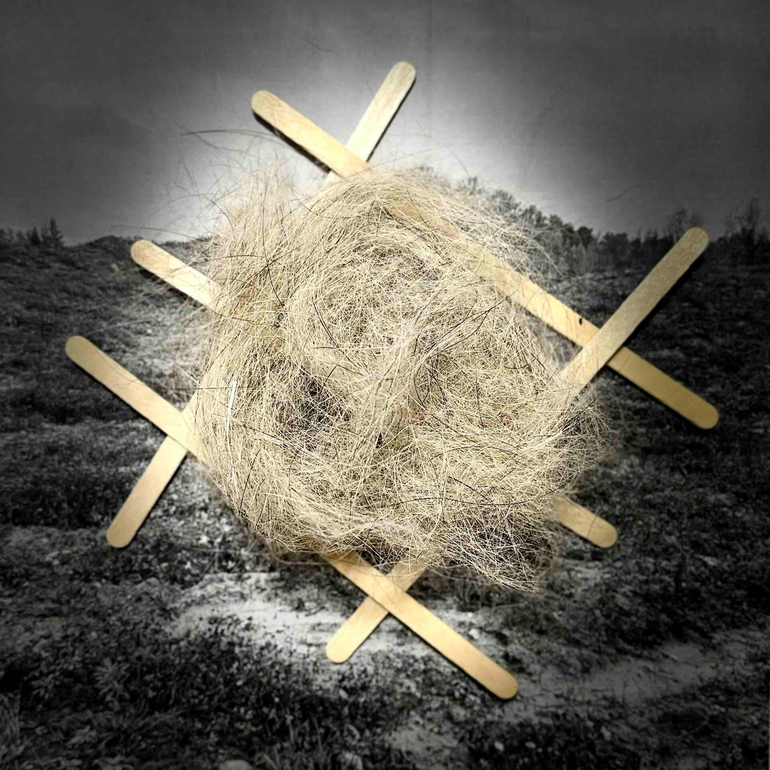 Укрытие. Катерина Эделева