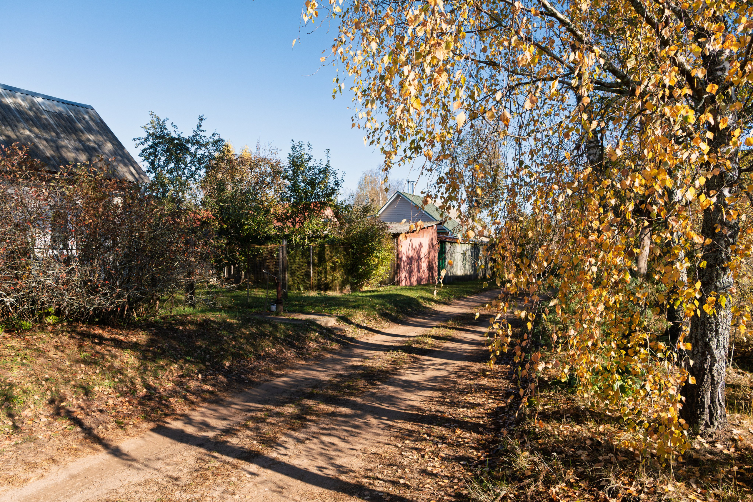 Голубые озера, Псковская область. Октябрь 2024. Фотограф Никифоров-Гордеев Сергей. Москва и МО