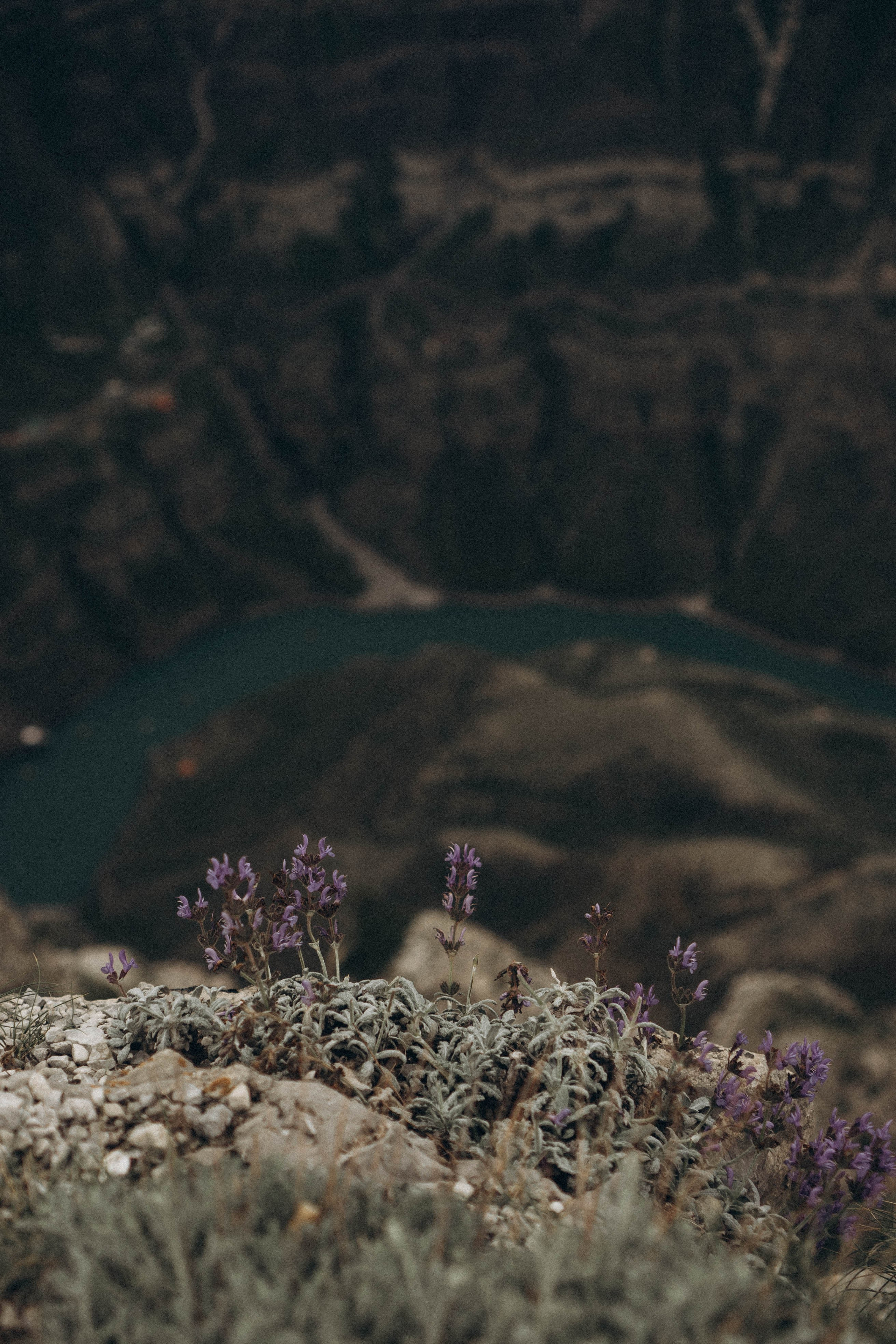 Кавказ. Профессиональный фотограф, Санкт-Петербург — Виктория Богомолова