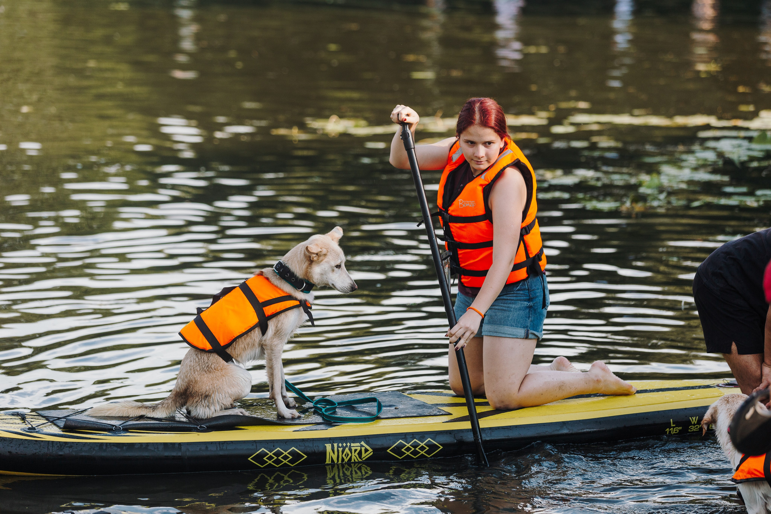 Petshop Sup day. Фотограф анималист Кристина Карпова, Москва