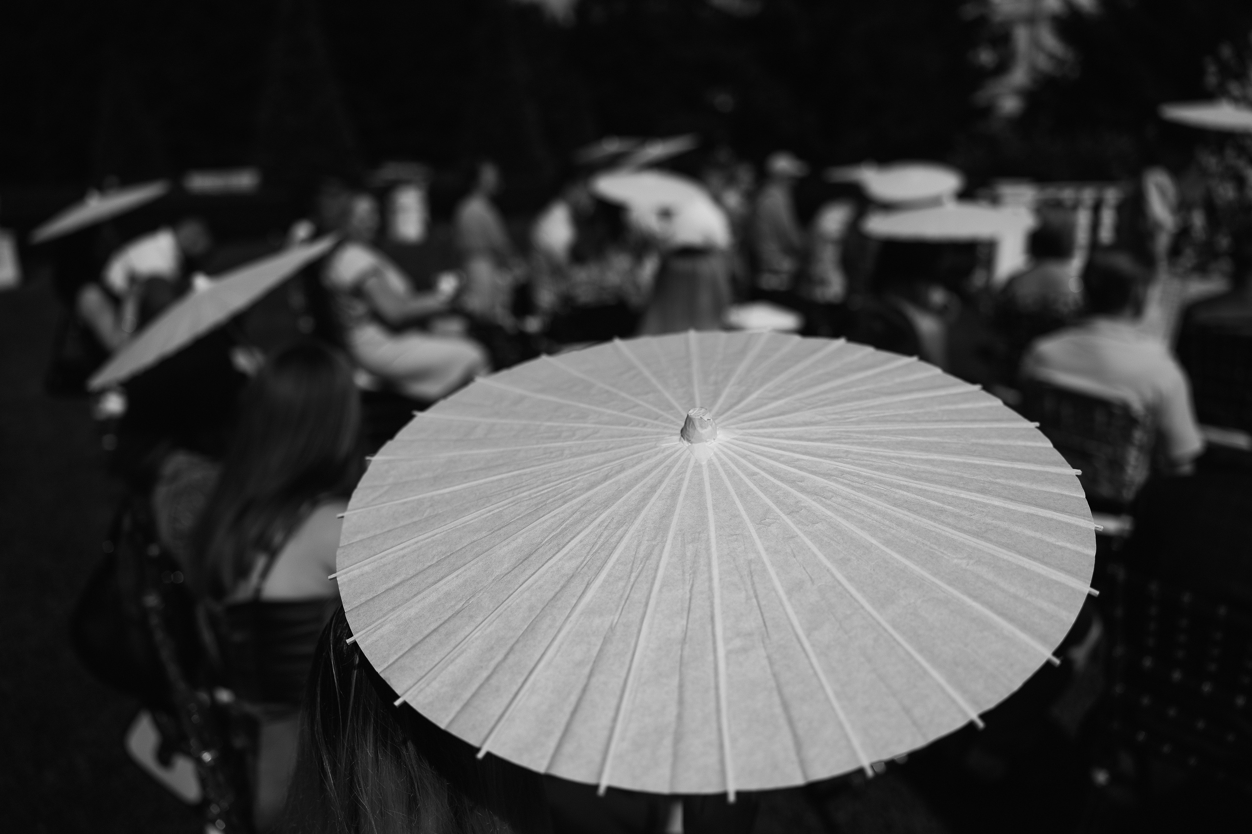 Горько…. Свадебный и семейный Фотограф Денис Кошель