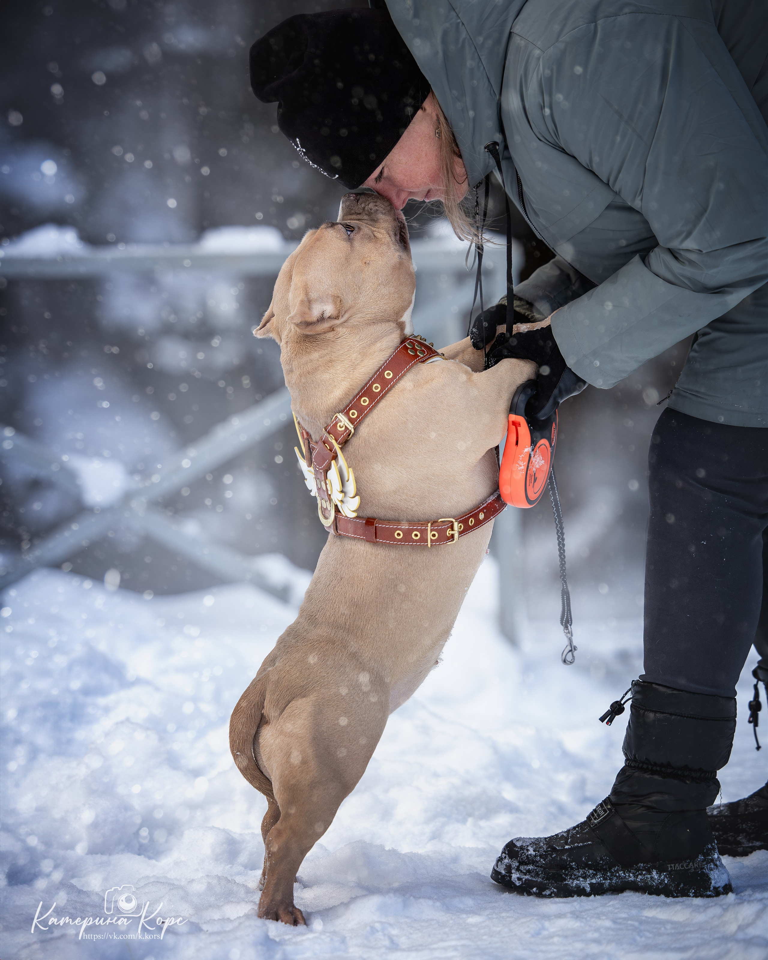 Собаки и люди. Главная
