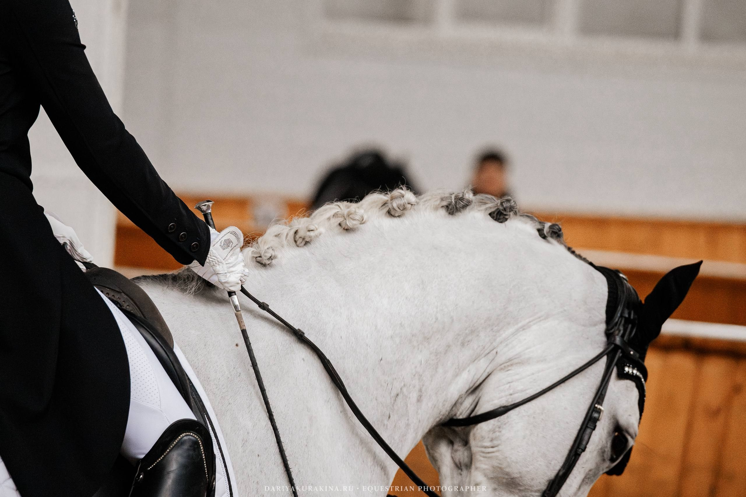 ОСЕННИЙ КУБОК по ВЫЕЗДКЕ в КСК «КОНКОРД». Куракина Дарья • Конный фотограф