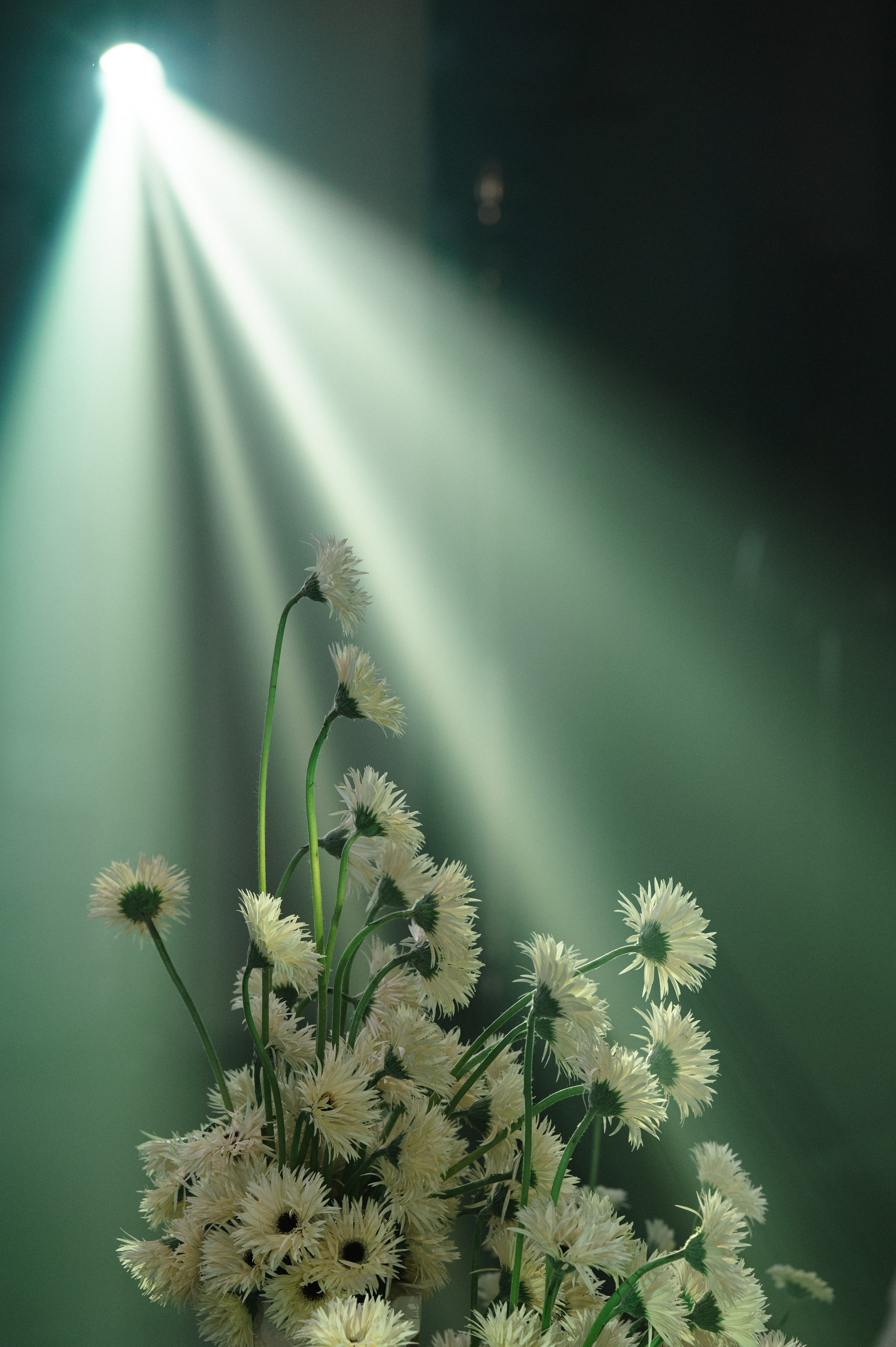 K A R U S E L. Свадебный и репортажный фотограф Сергей Чесноков