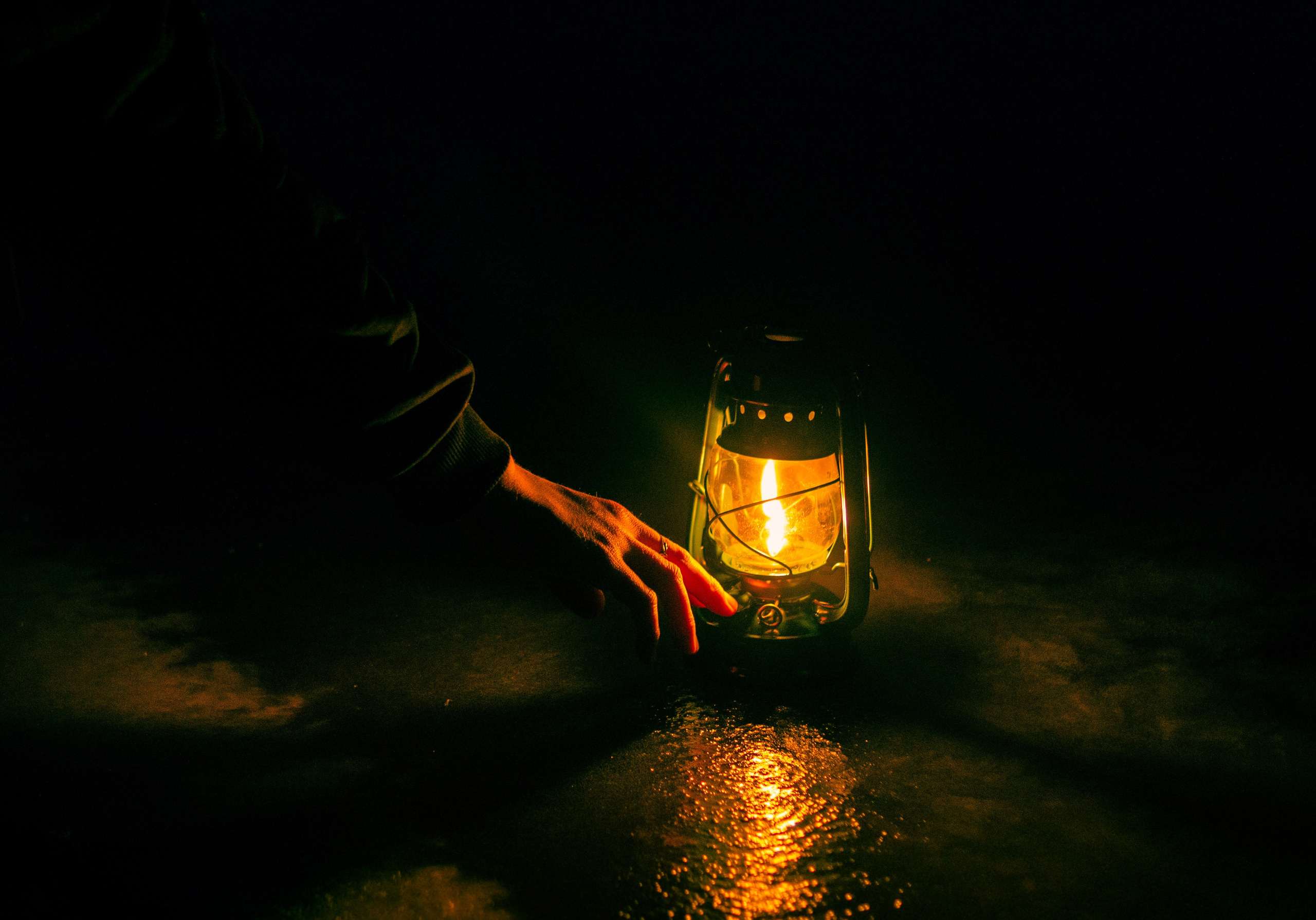 Фотограф СПб | Лесная фотосессия