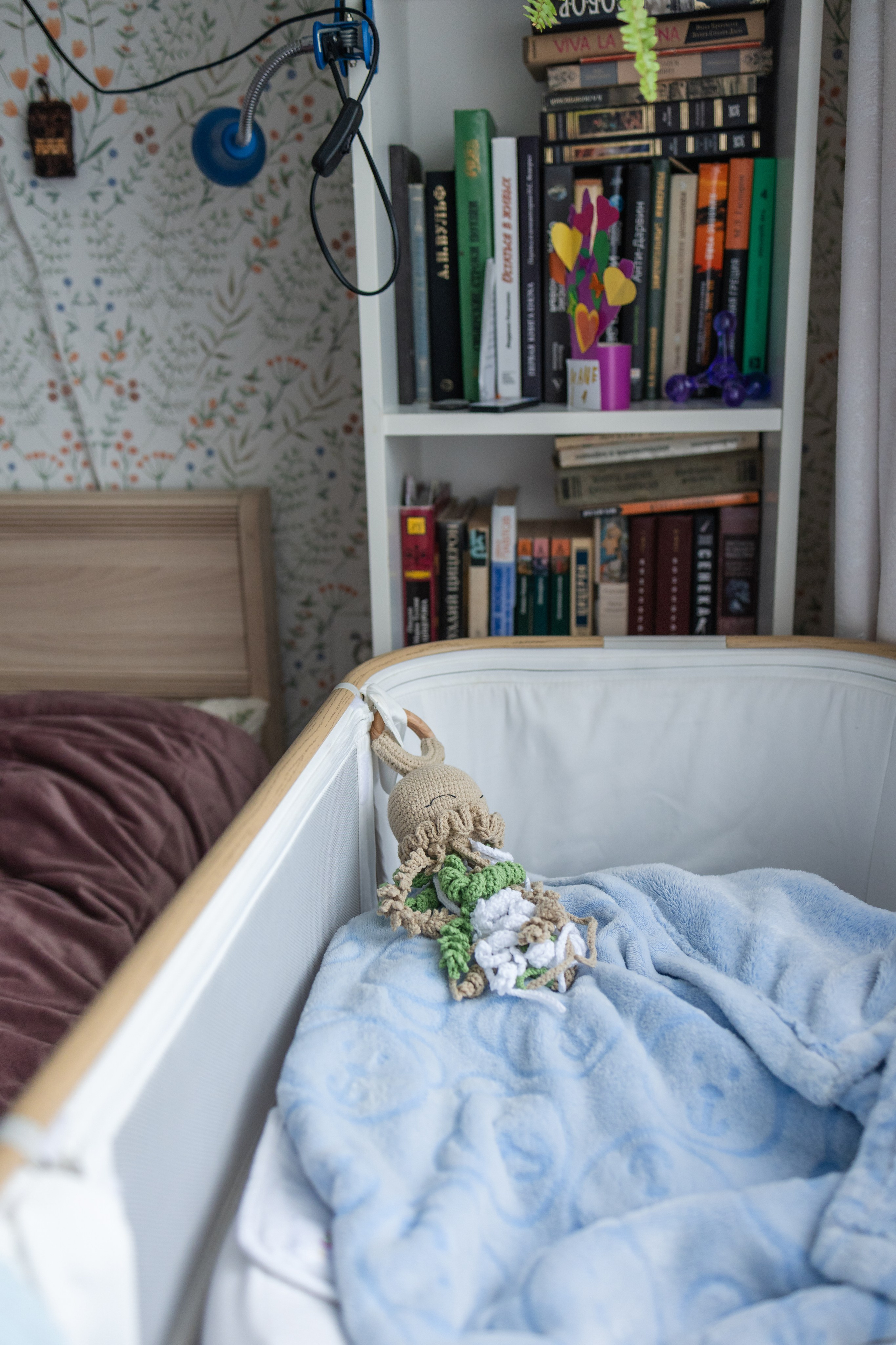 Пополнение в сборной⚽️👶🏻. Семейный и детский фотограф в Новосибирске Алёна Малахова