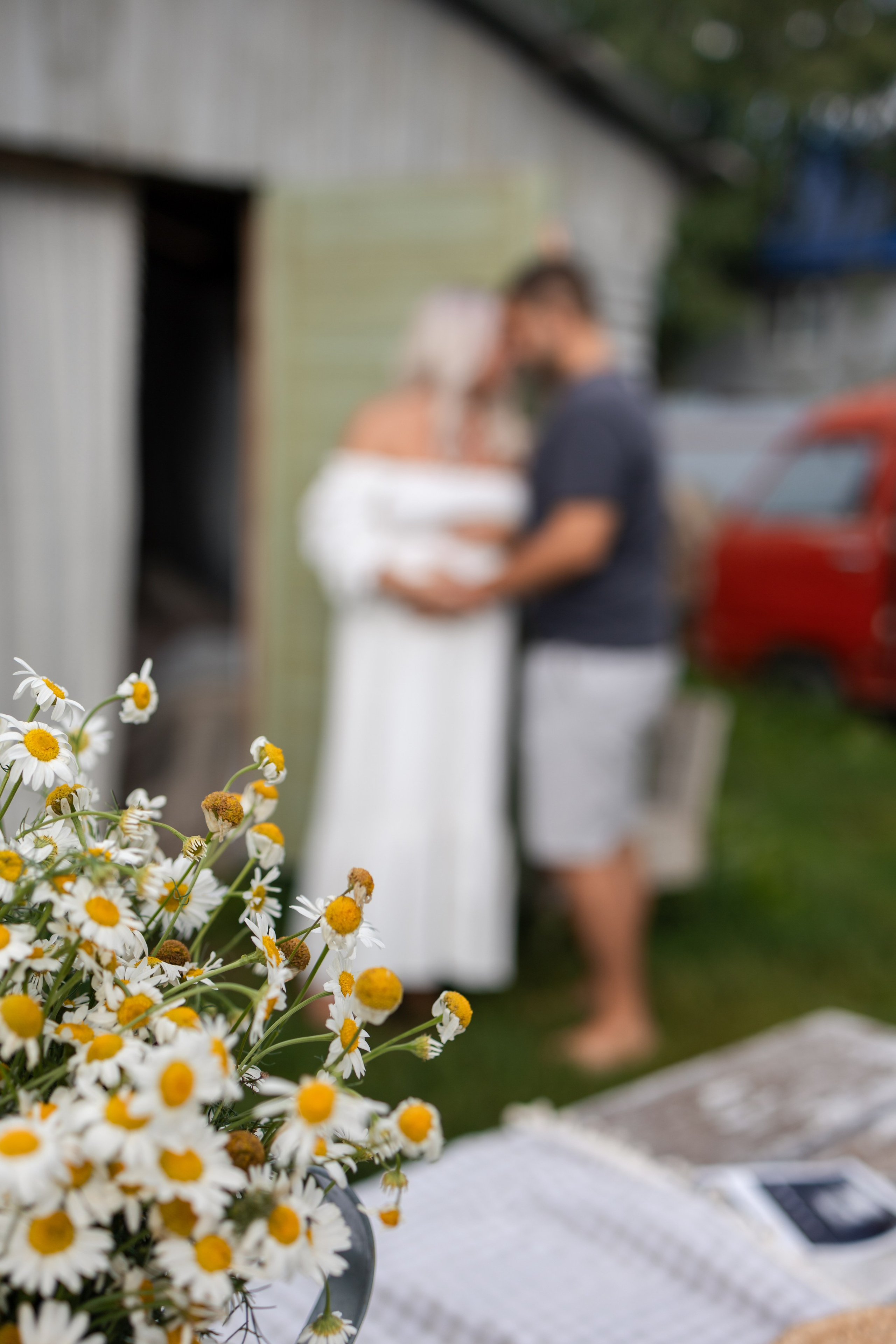 Где-то лето…🌻. Семейный и детский фотограф в Новосибирске Алёна Малахова