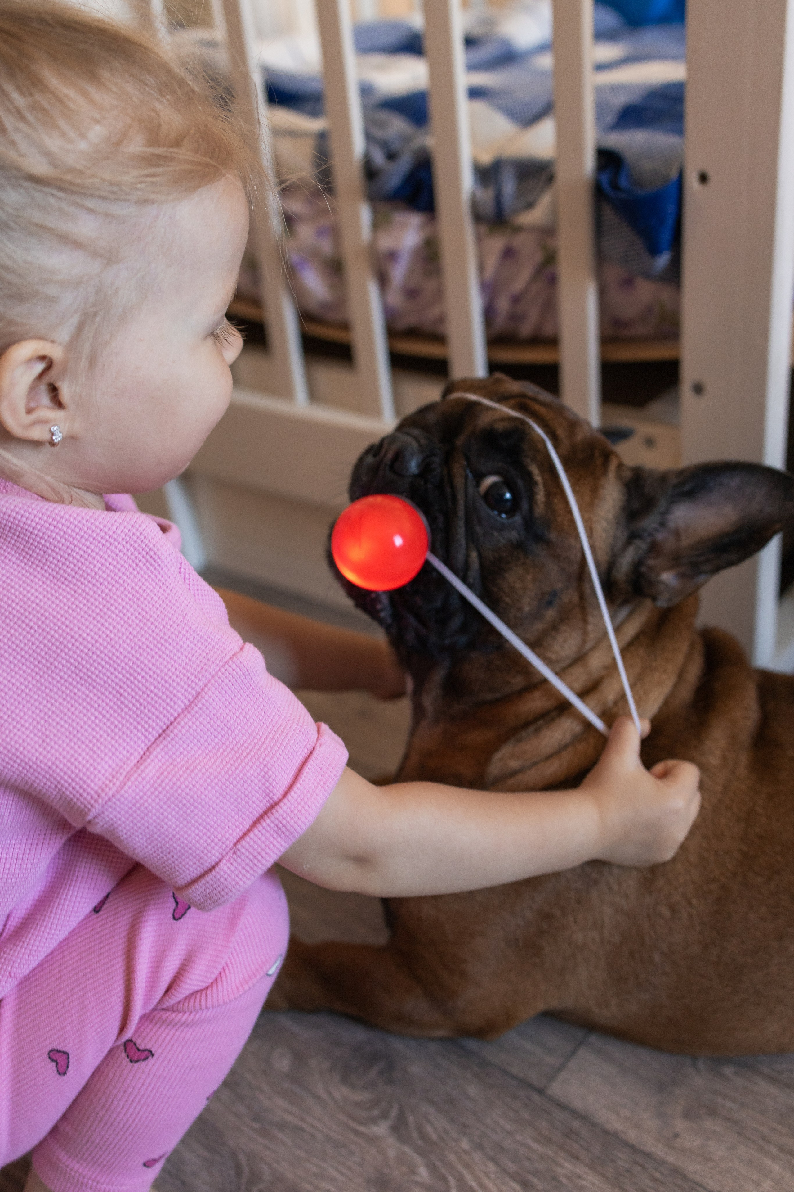 Все дома🏡 🐾. Семейный и детский фотограф в Новосибирске Алёна Малахова
