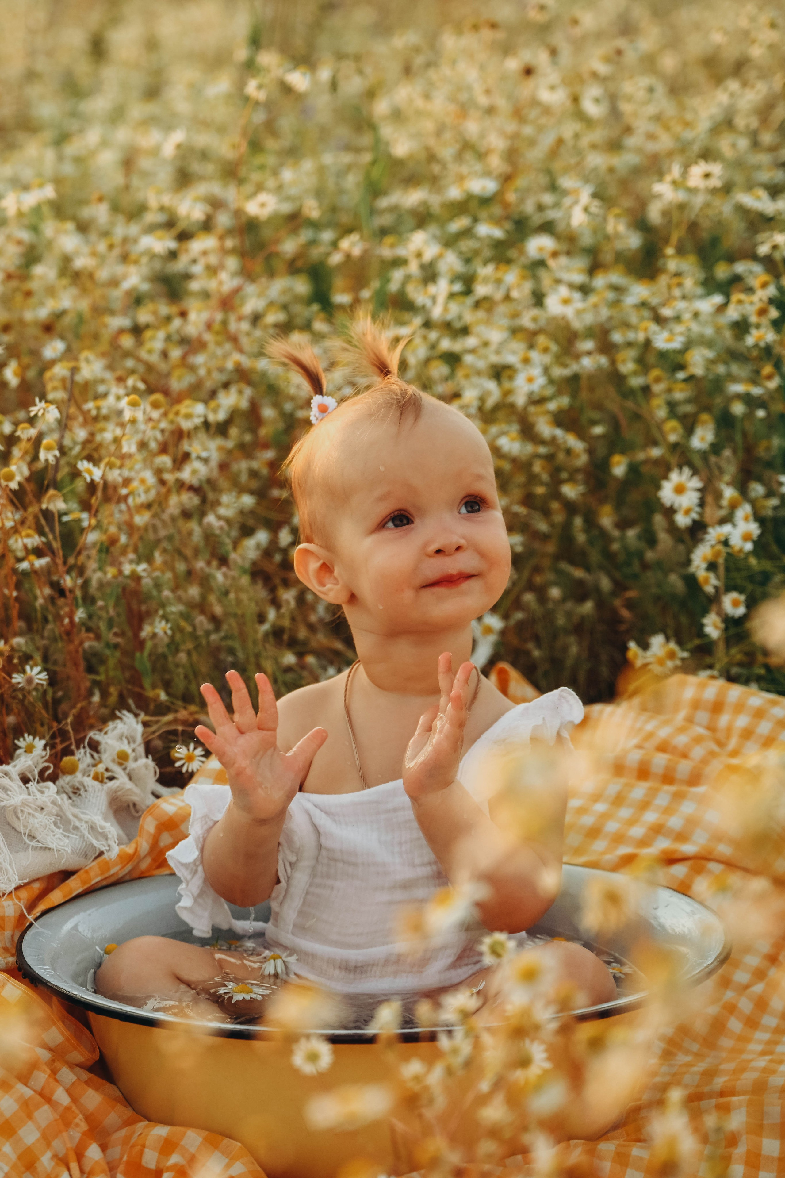 Ромашковое поле. Семейный фотограф в Москве Люберцах Ирина Вронская