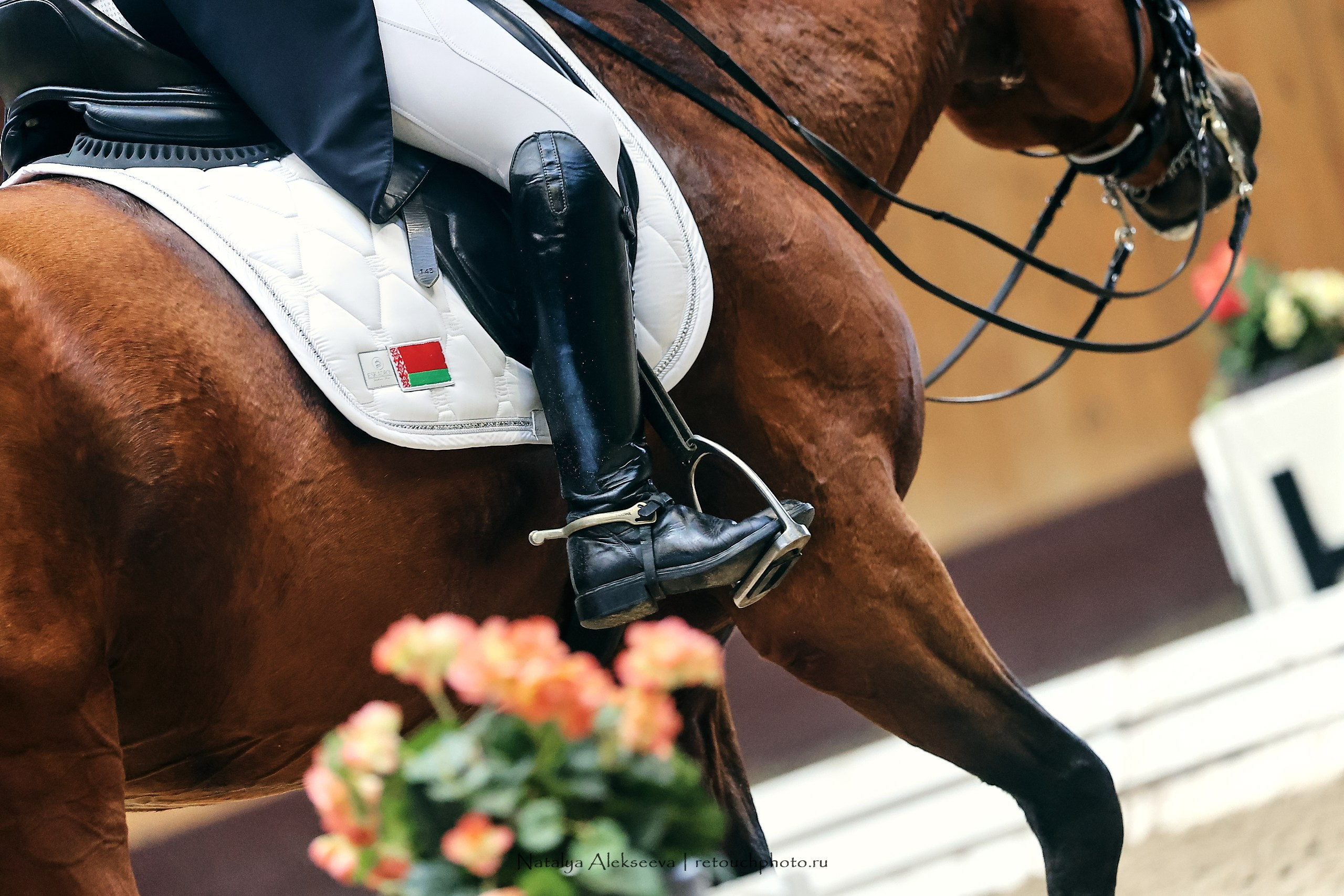 Звезды Евразии по выездке, Минск | 10'2023