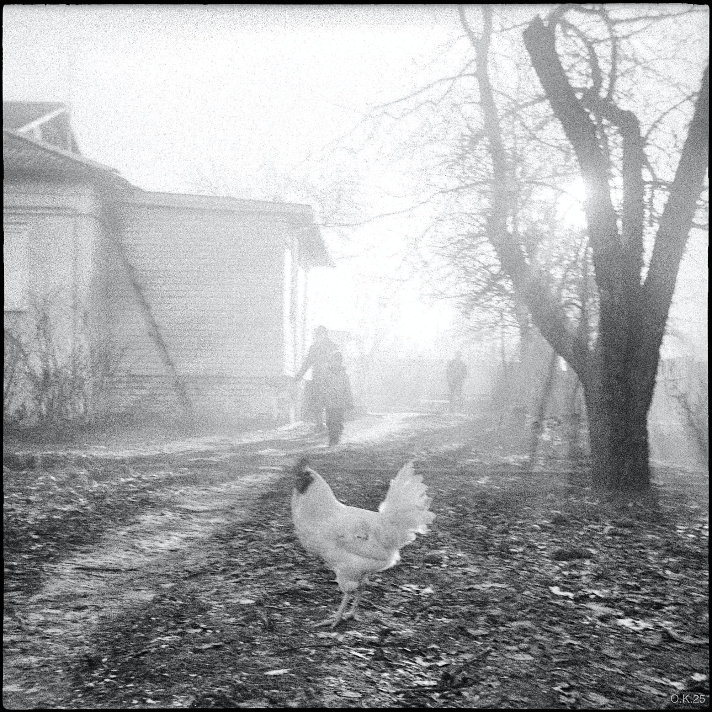 Пленочная фотография Олег Кузнецов. Artkapella|Олег Кузнецов