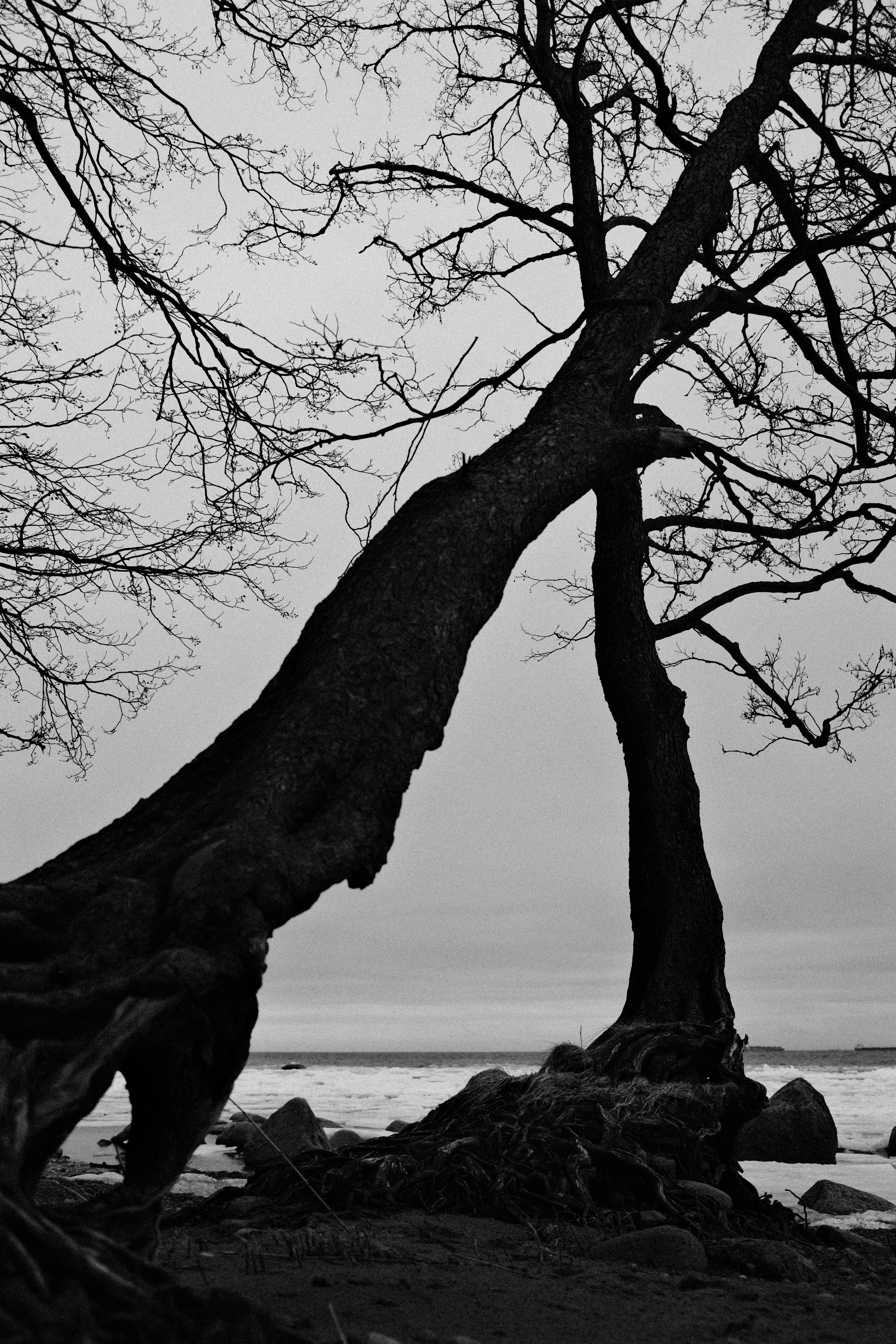 Рефлексия. Портретный фотограф