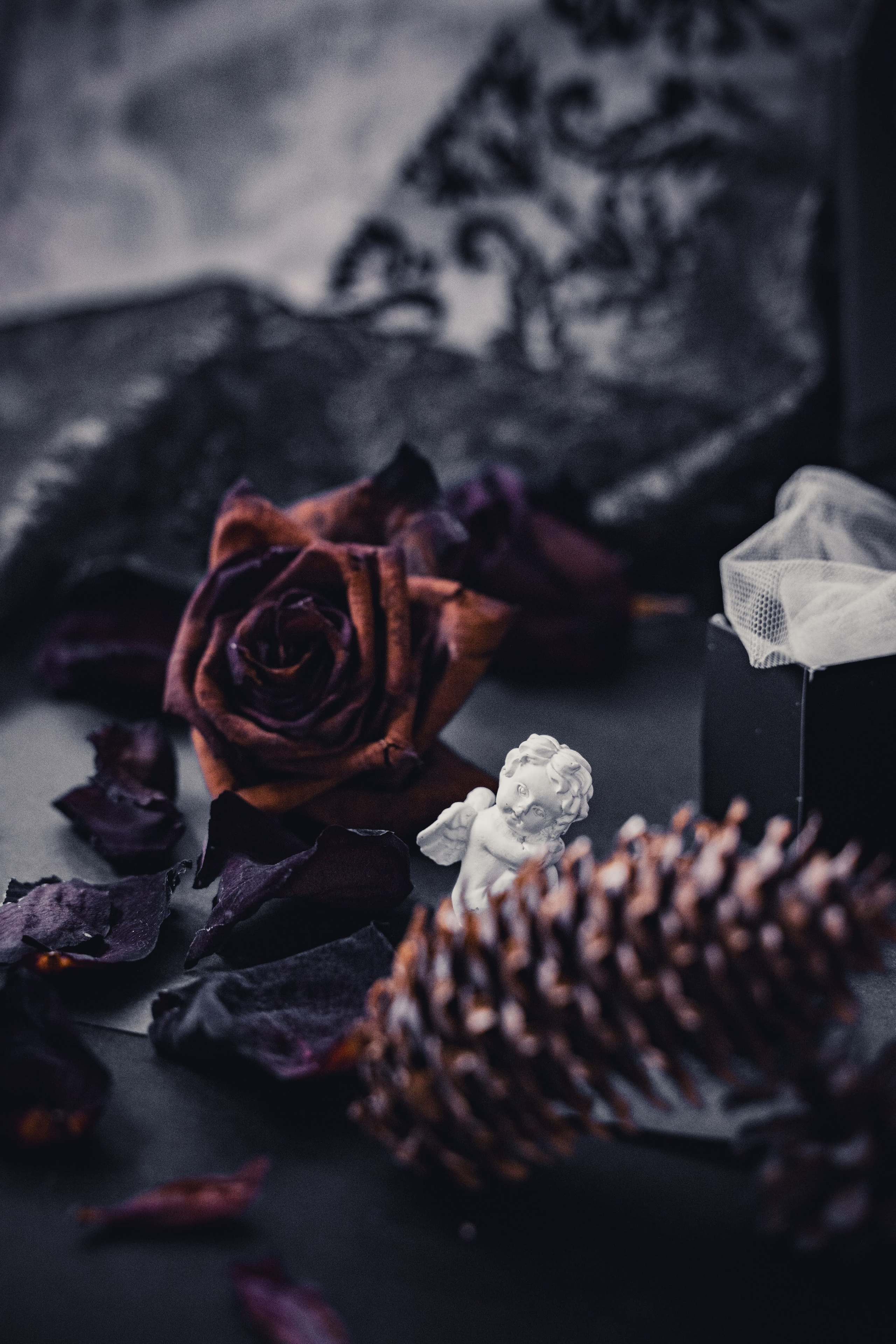 Свечи Garpia. Елена Осадчая — фотографирую музыку на сцене и в жизни