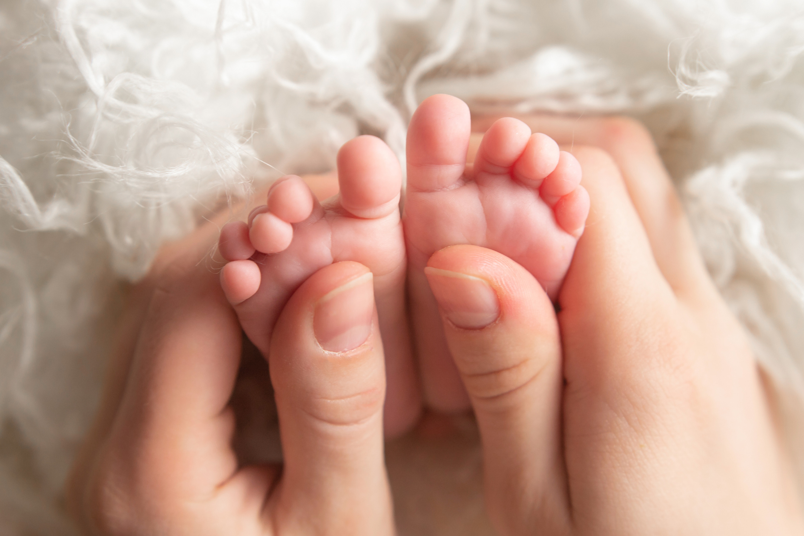 NEWBORN CLASSIC. Фотограф новорожденных в Ярославле Ольга Зимина