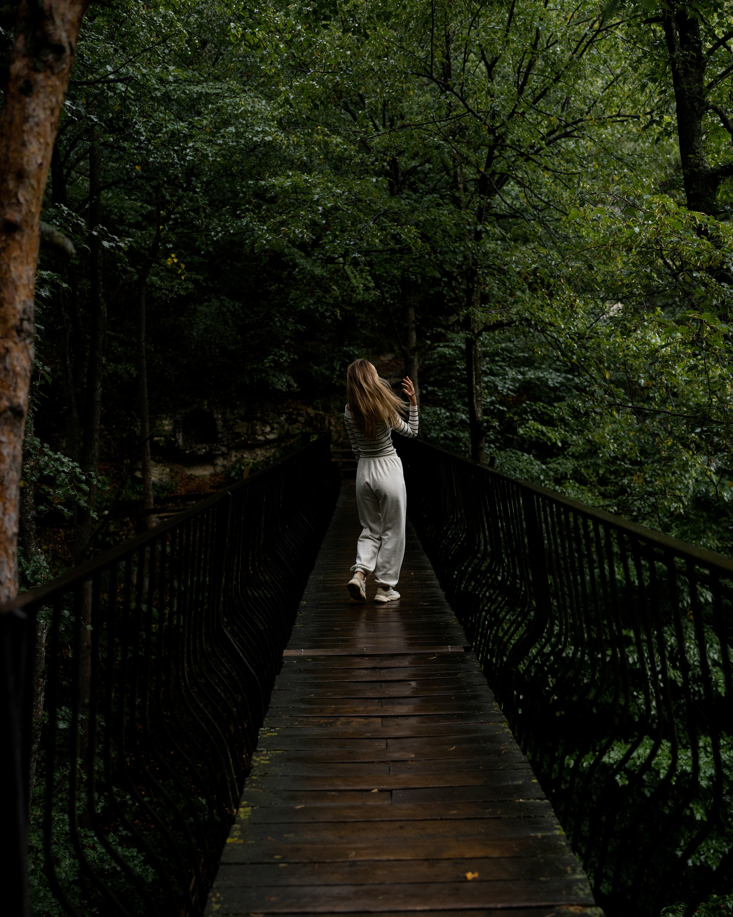 Блог. Фотограф и видеограф Елена Хмелевская