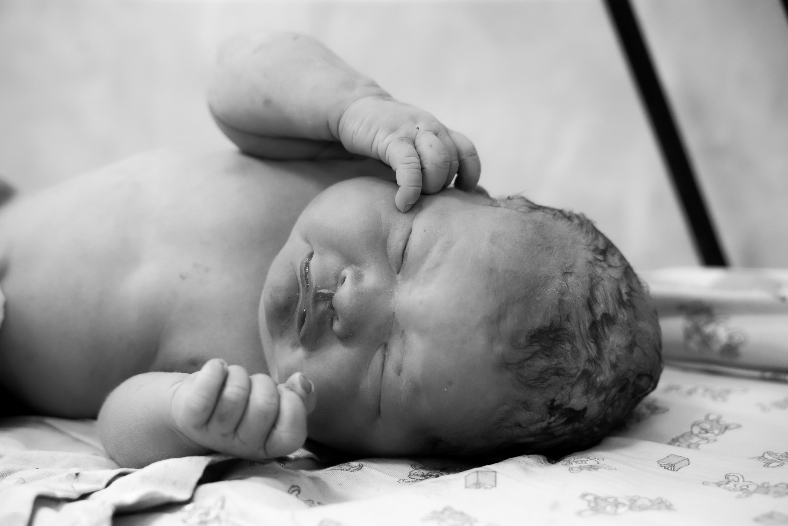 Мирон. Фотограф на роды Москва Ольга Летучева