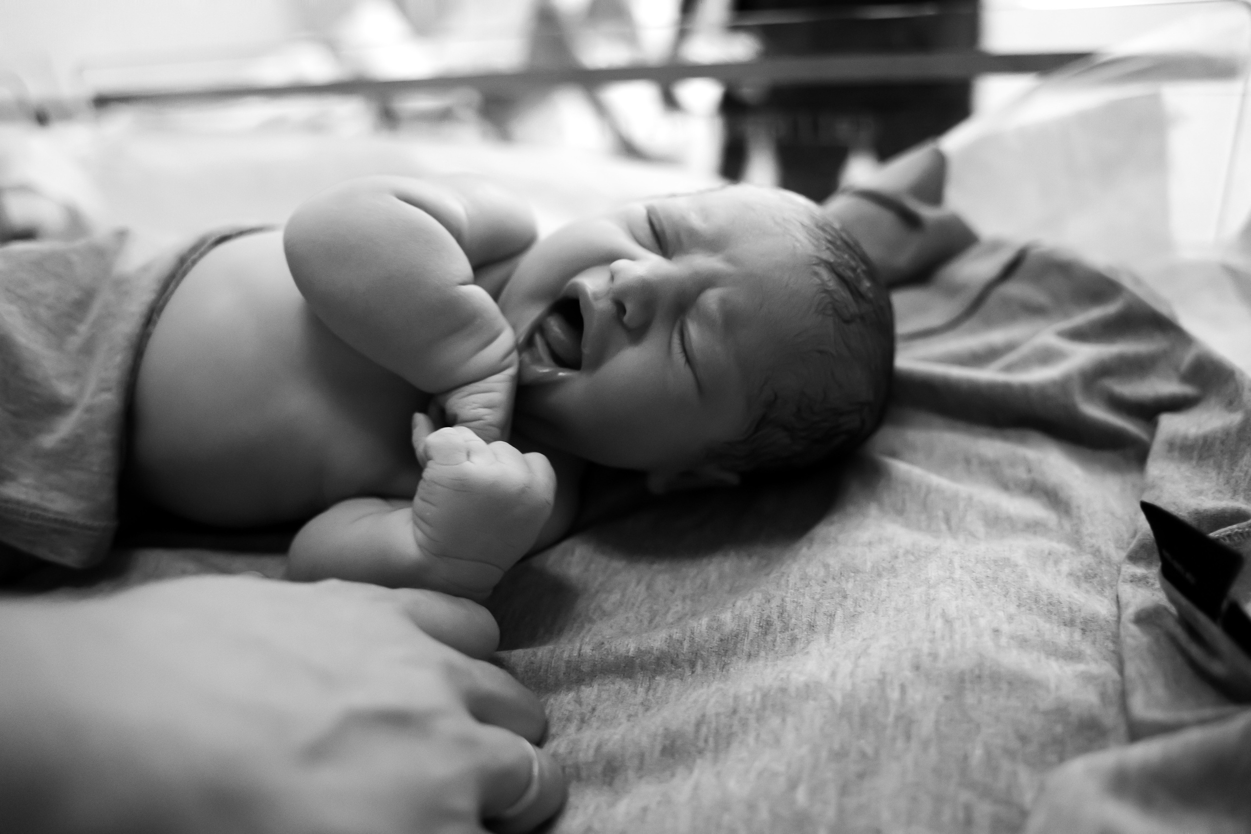 Ариадна. Фотограф на роды Москва Ольга Летучева