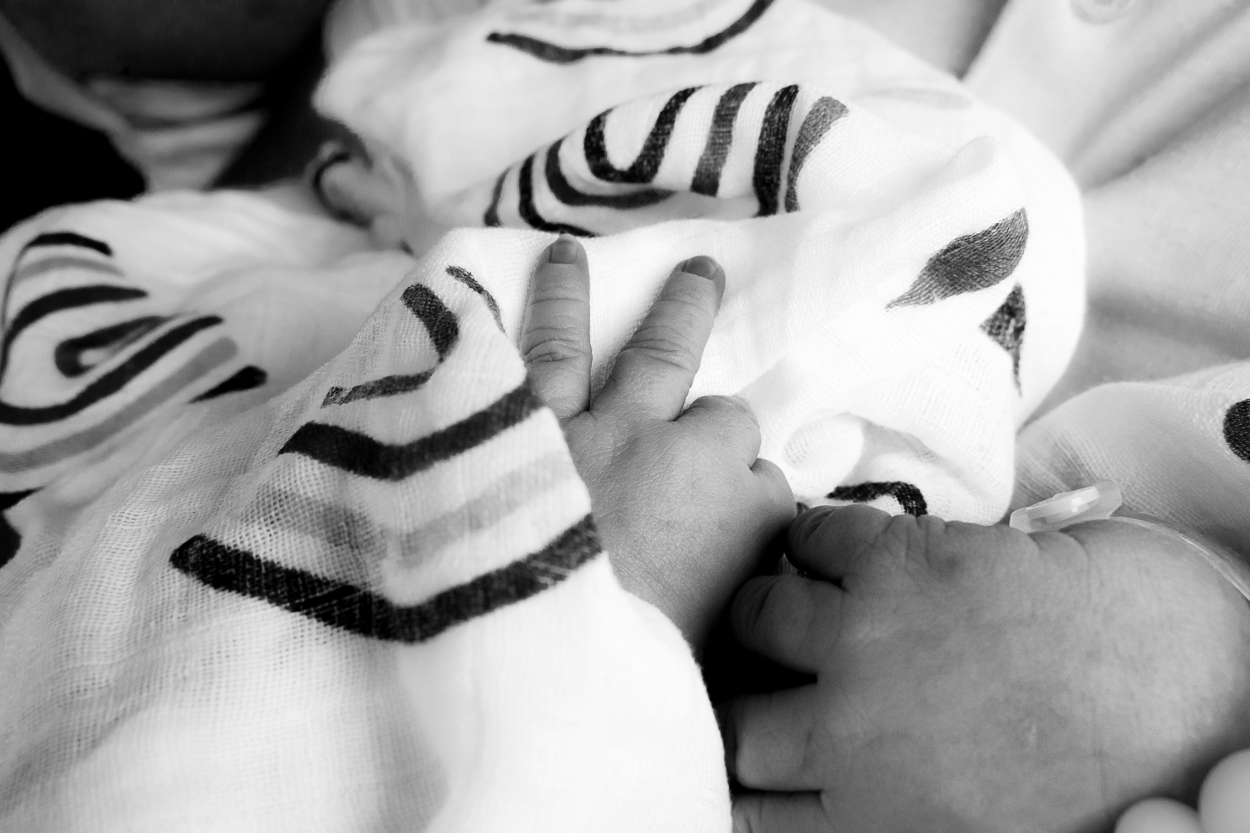 Никон. Фотограф на роды Москва Ольга Летучева