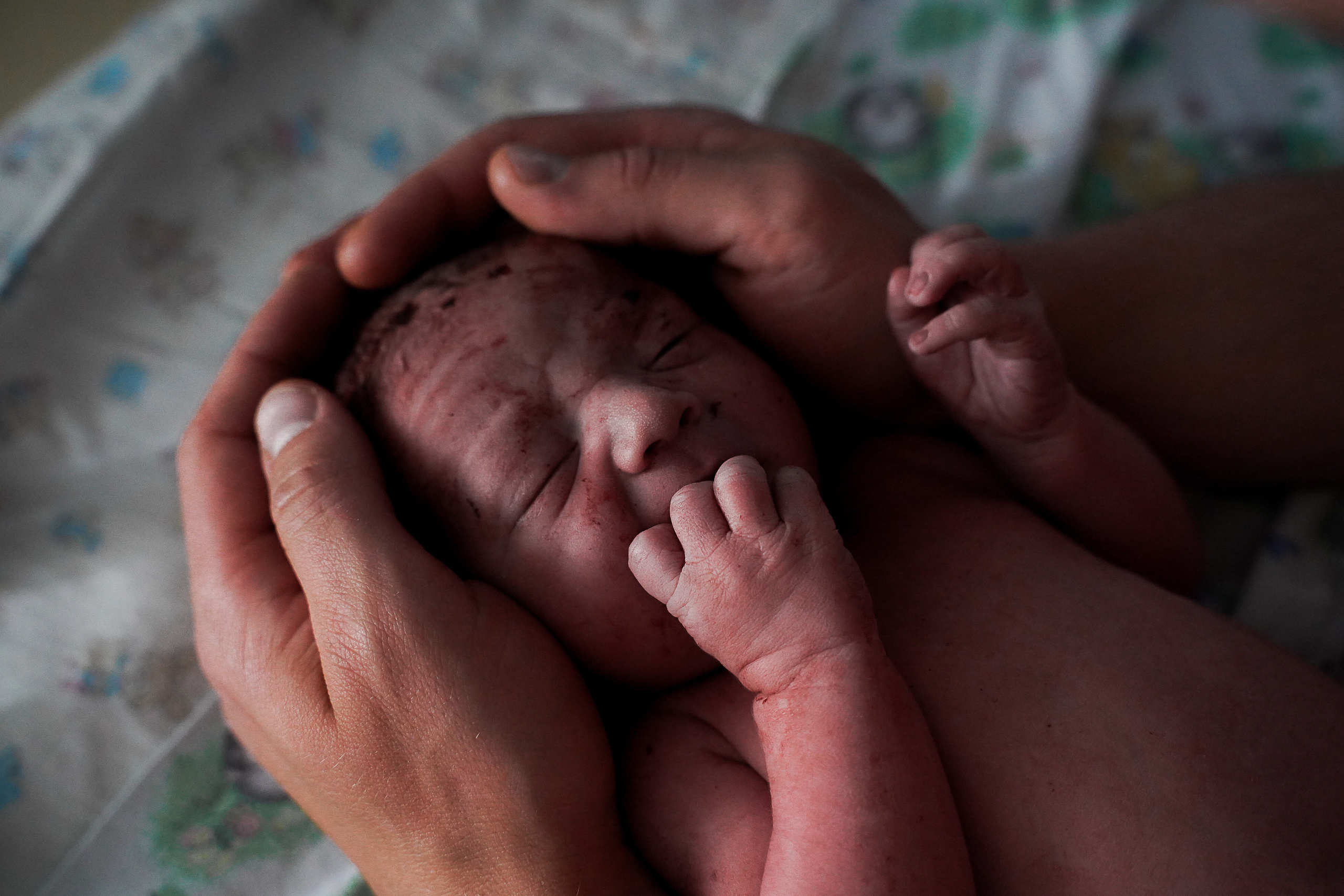 Глеб. Фотограф на роды Москва Ольга Летучева