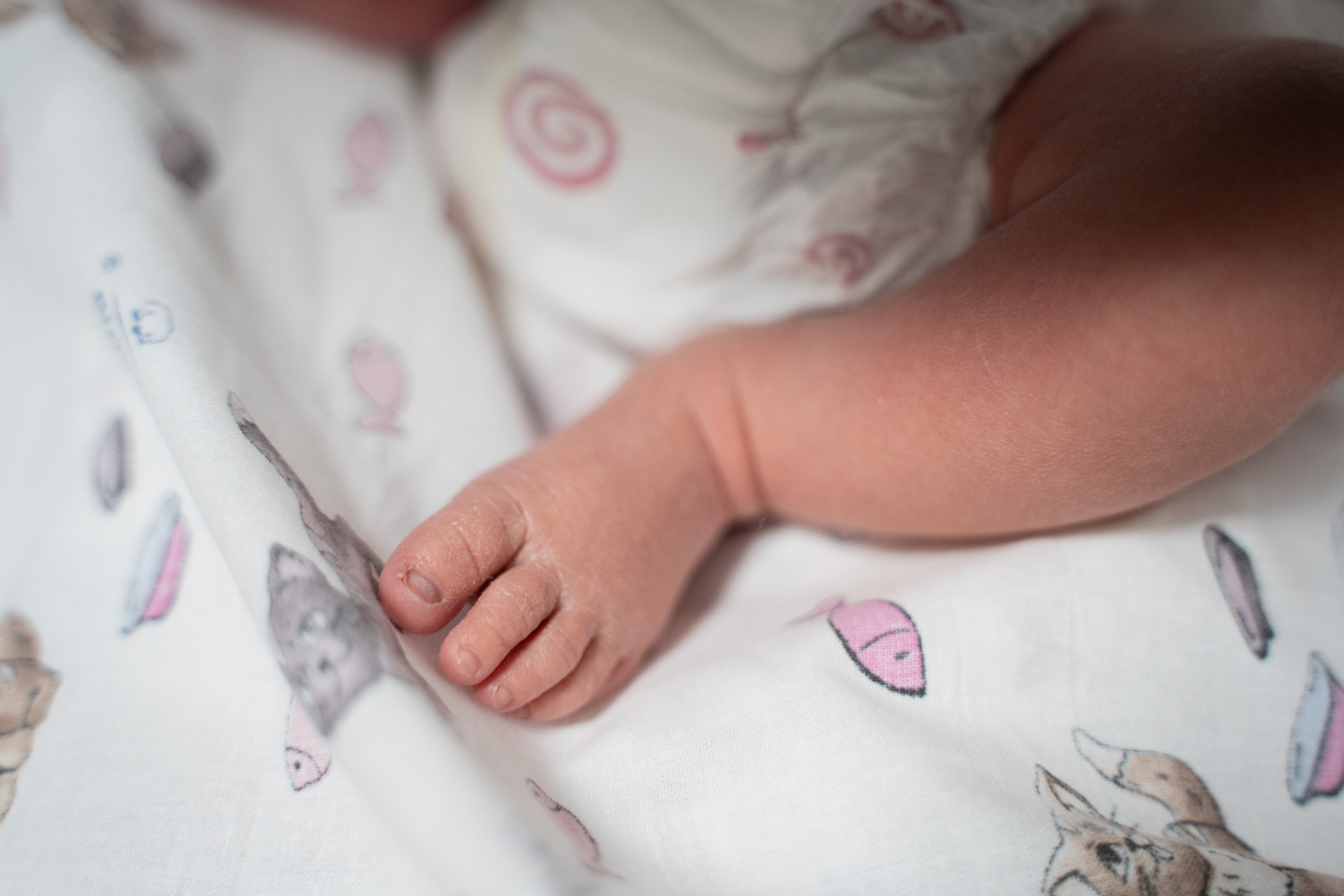 Гордей. Фотограф на роды Москва Ольга Летучева