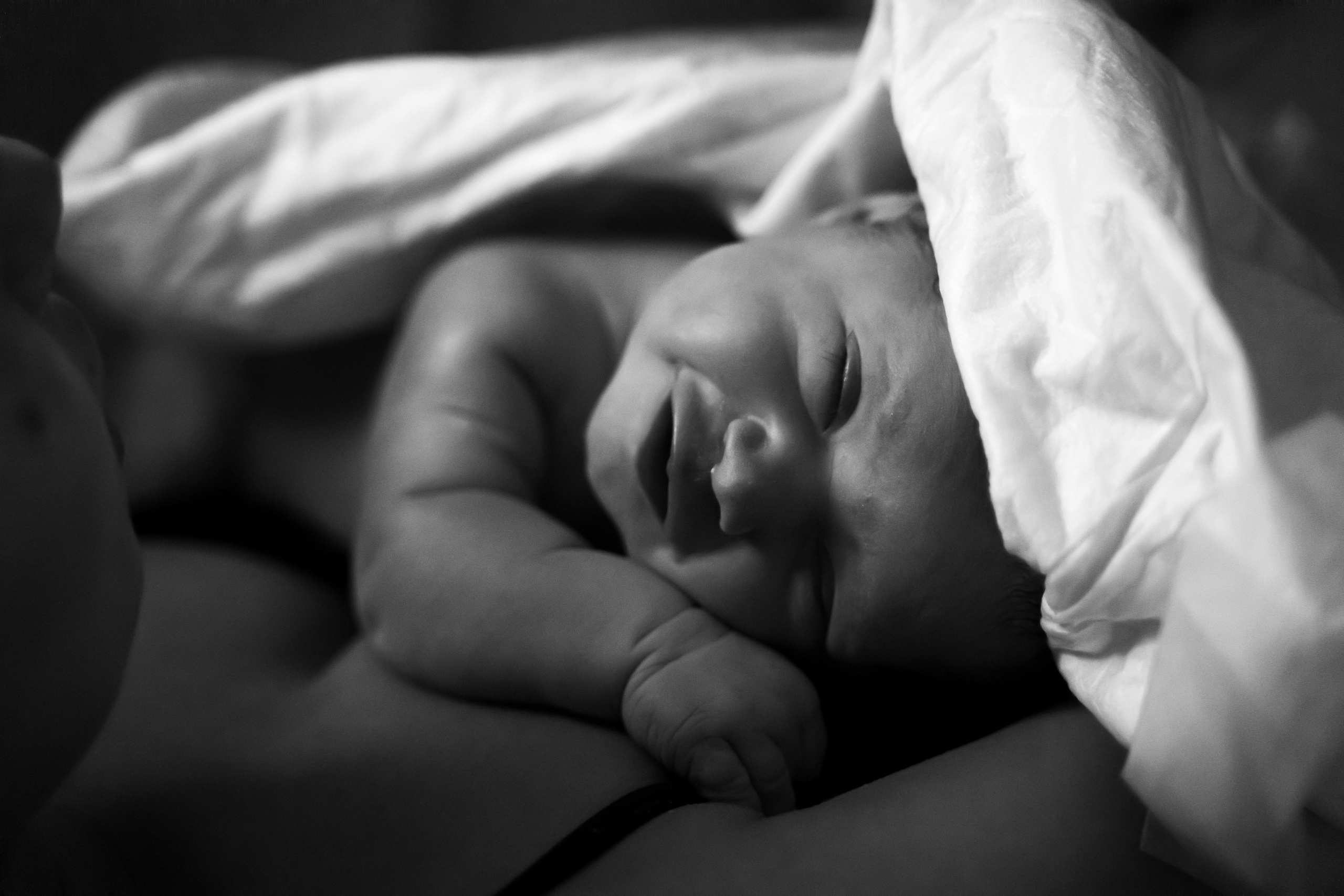 Ариадна. Фотограф на роды Москва Ольга Летучева