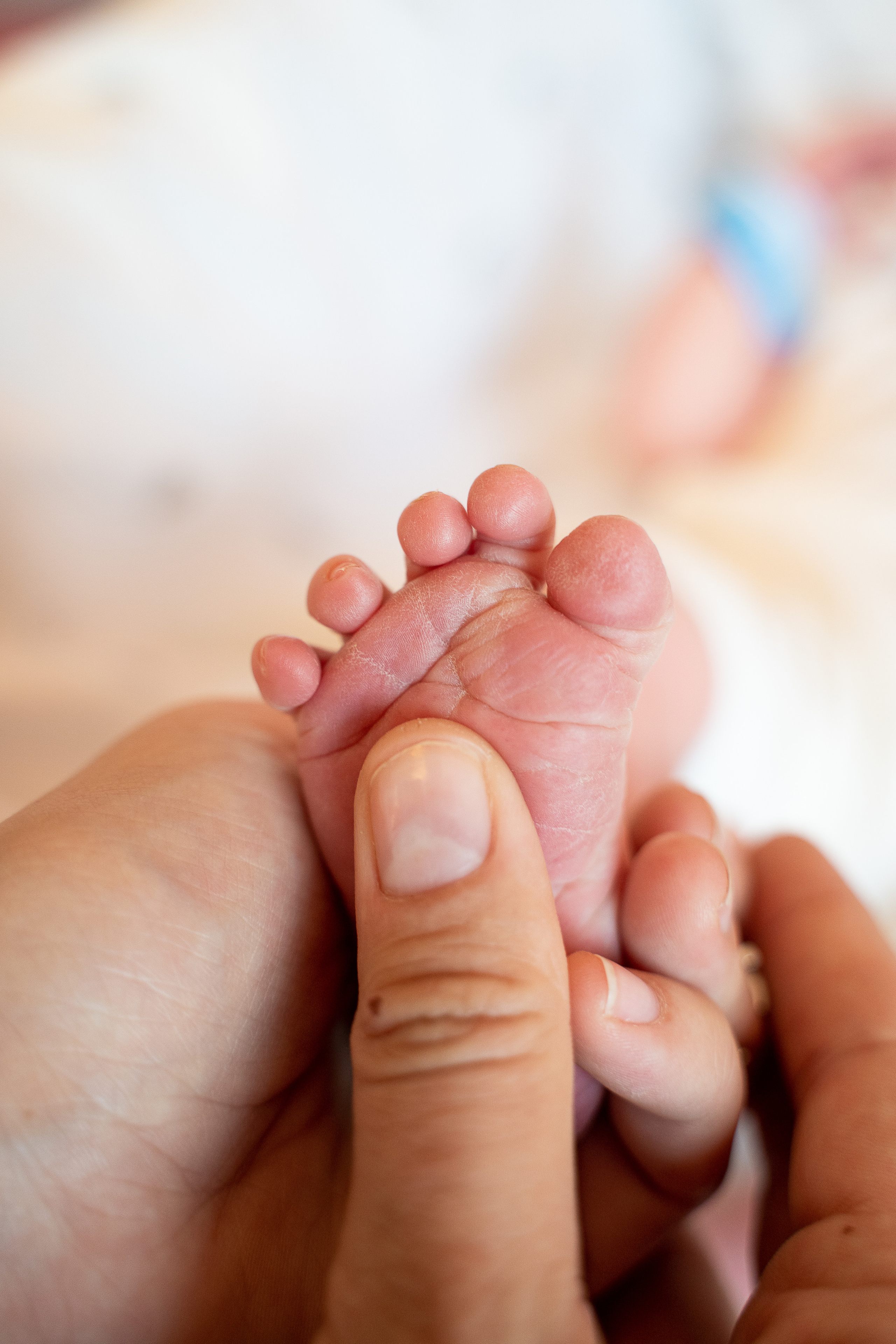 Никон. Фотограф на роды Москва Ольга Летучева