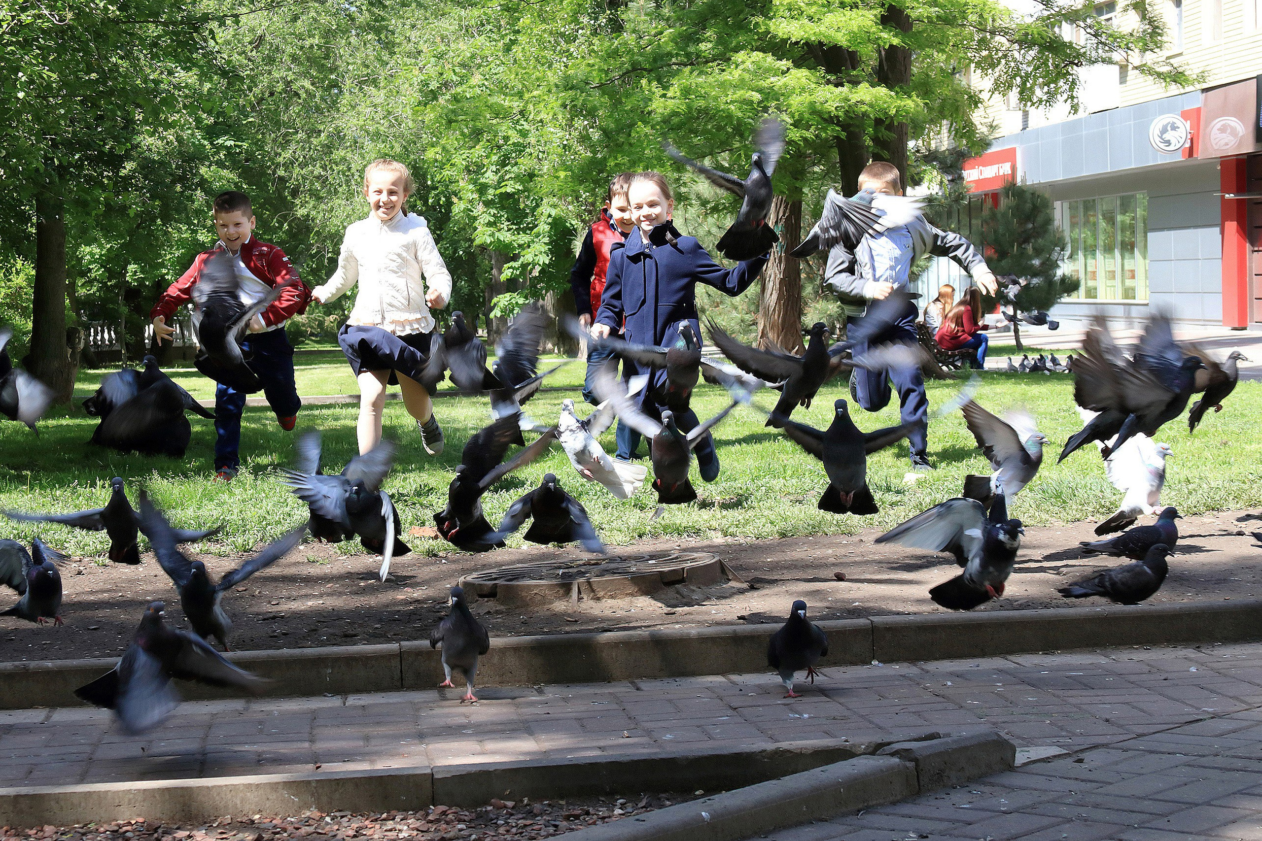 Выпускные фотокниги, выпускные альбомы в Ростове-на-Дону