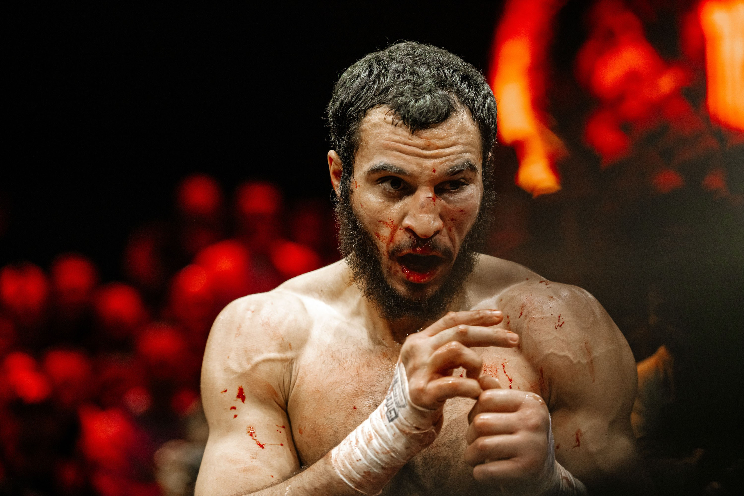 TOP DOG. Максим Комаров — Профессиональный фотограф