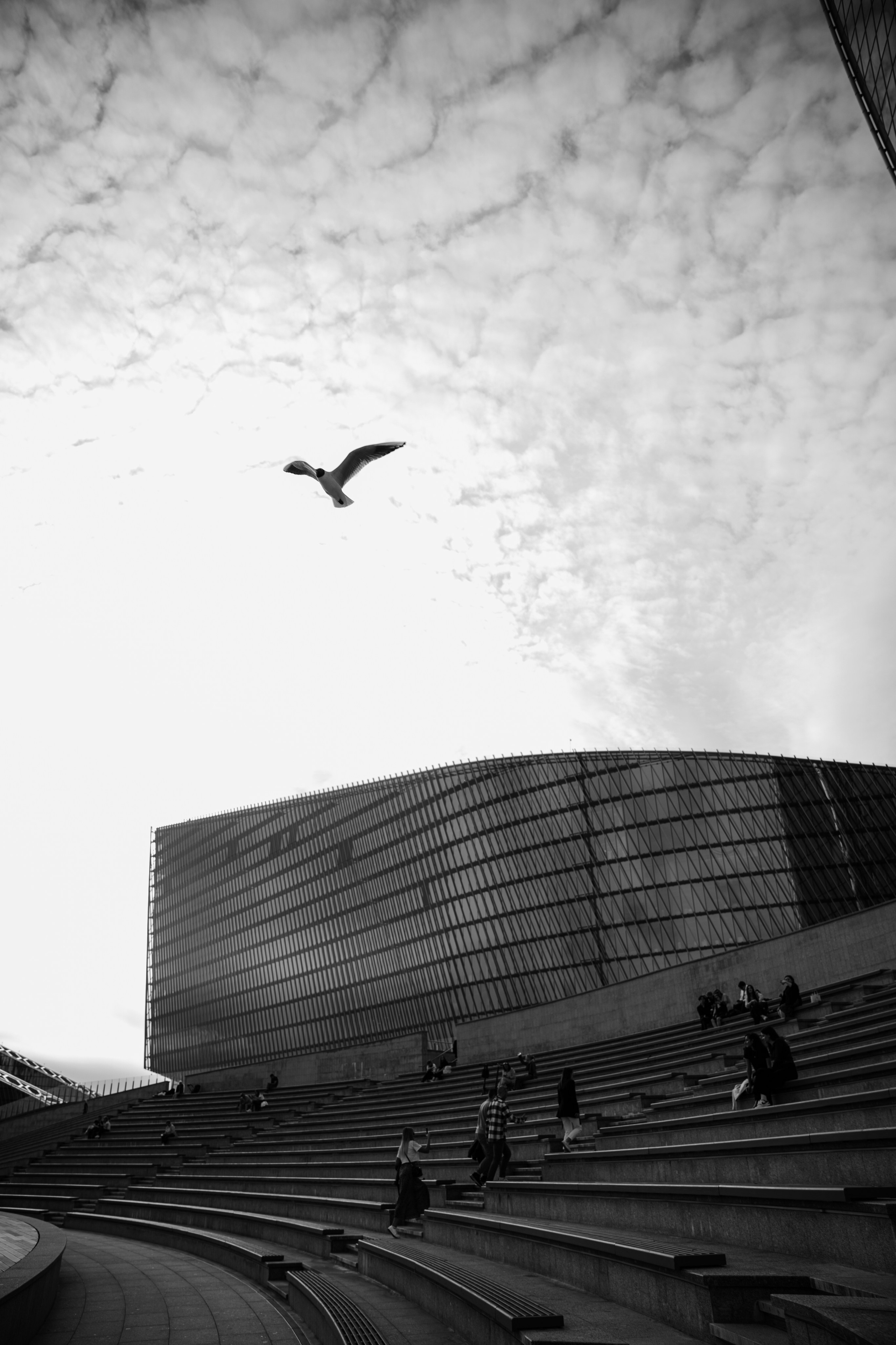 Елена. Лахта центр. Портретный фотограф в Санкт-Петербурге Дмитриева Наталия