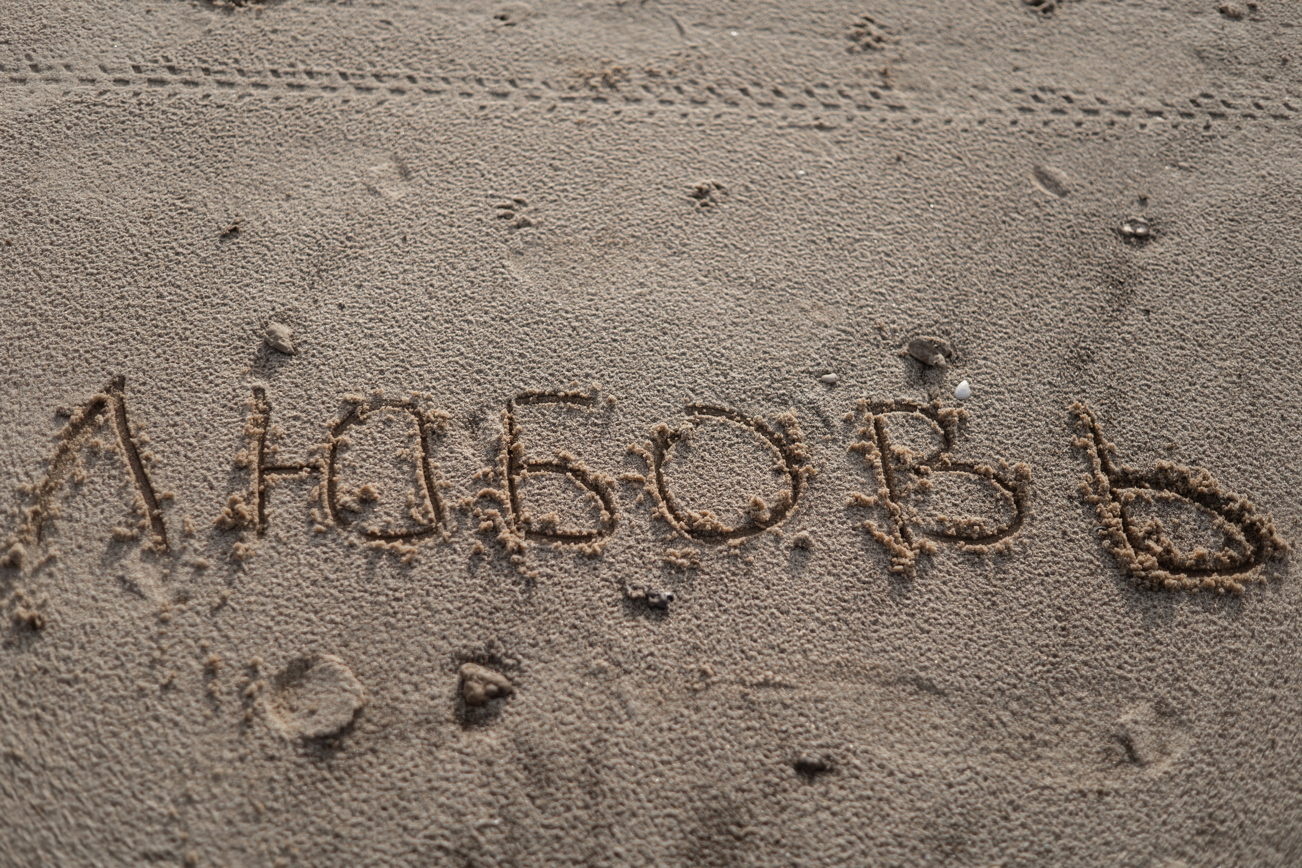 ИГОРЬ. Фотограф Элла Ефимова