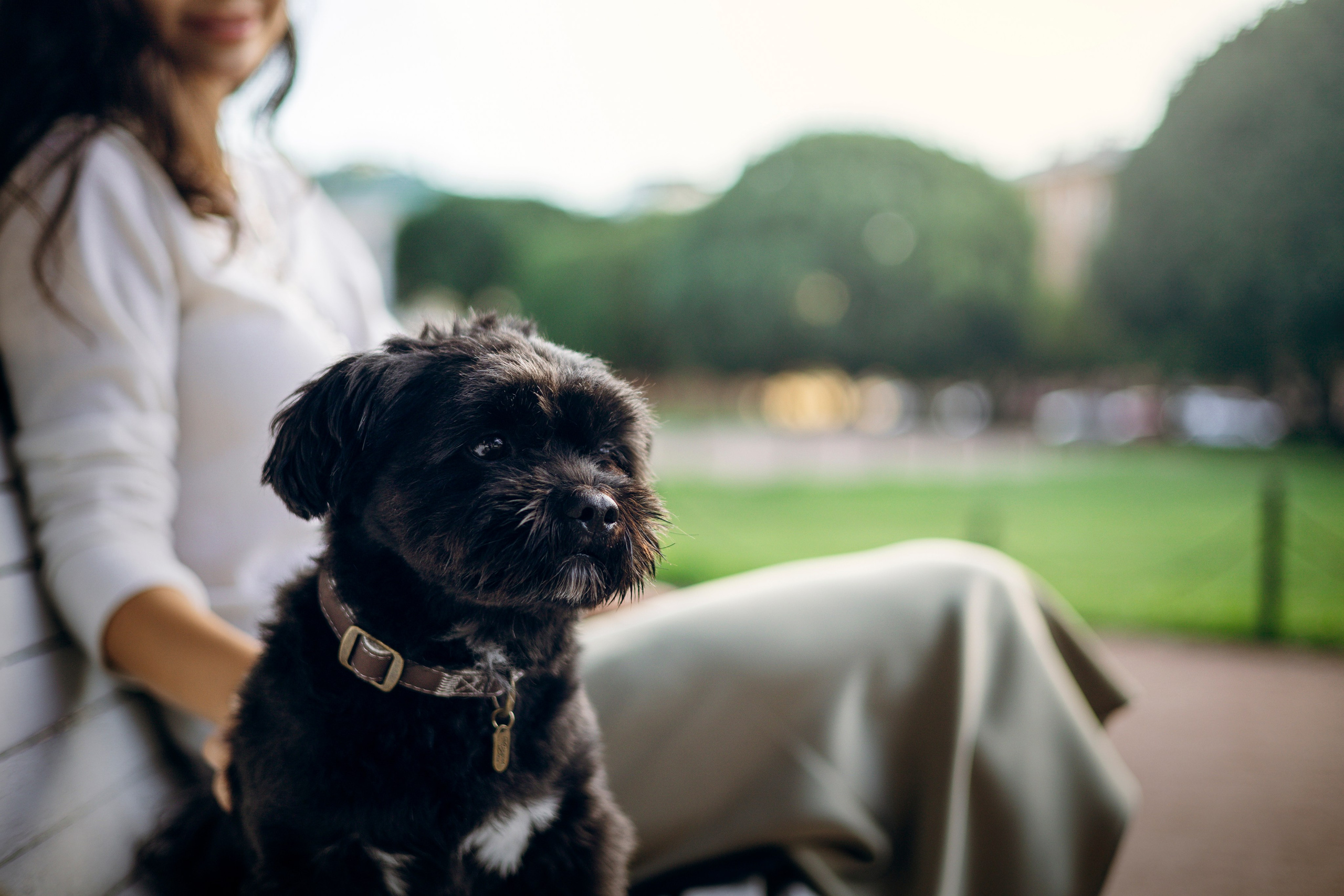 Даша и Борис. Фотограф — Анималист | Санкт-Петербург