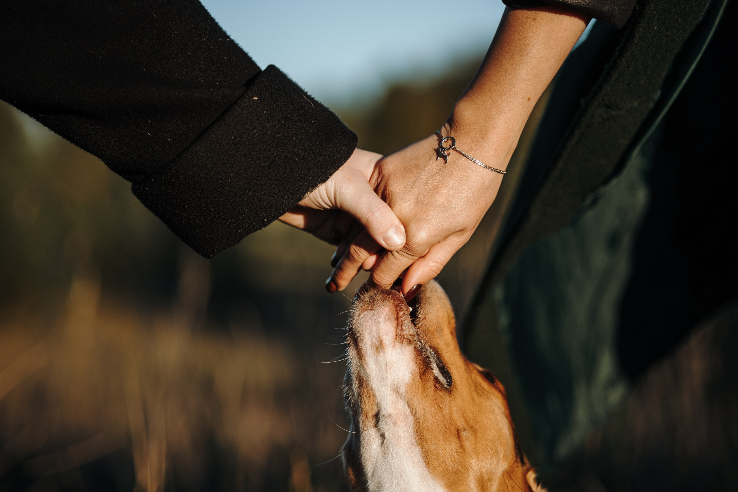 Оуджи и его семья. Фотограф — Анималист | Санкт-Петербург