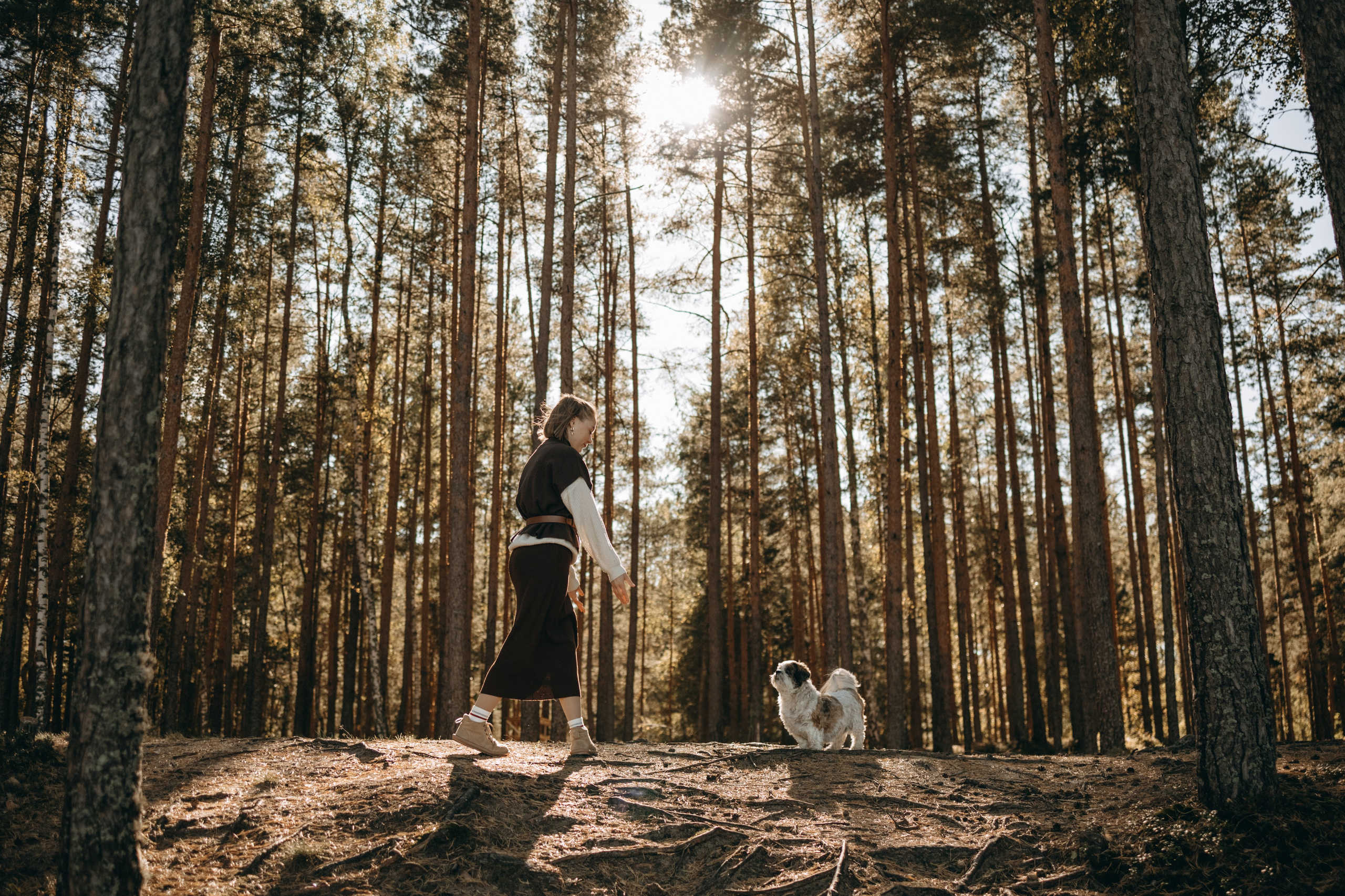 Настя и Франт. Фотограф — Анималист | Санкт-Петербург