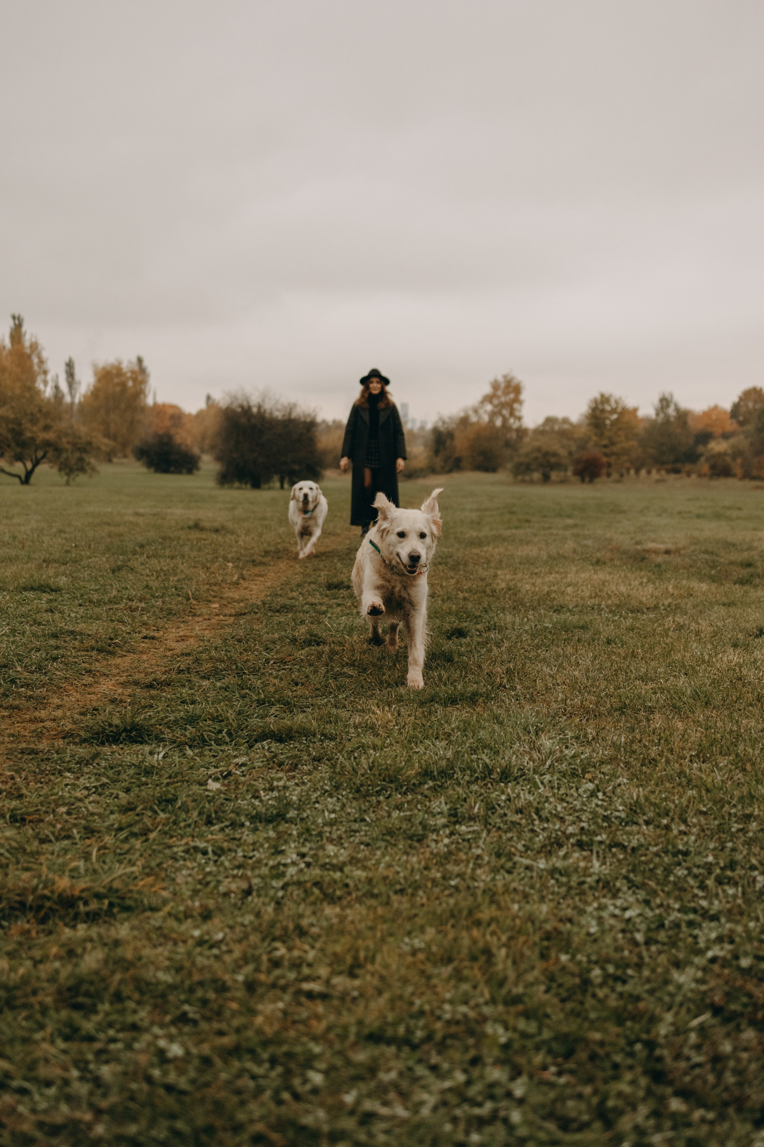 Женя и ее девочки. Фотограф — Анималист | Санкт-Петербург